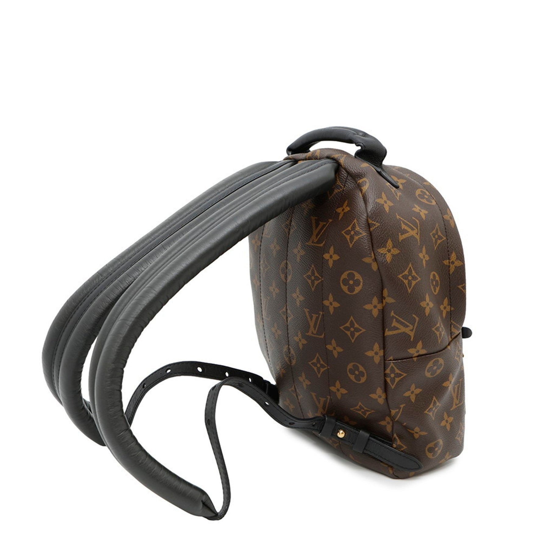 Louis Vuitton Monogram Palm Springs Backpack PM