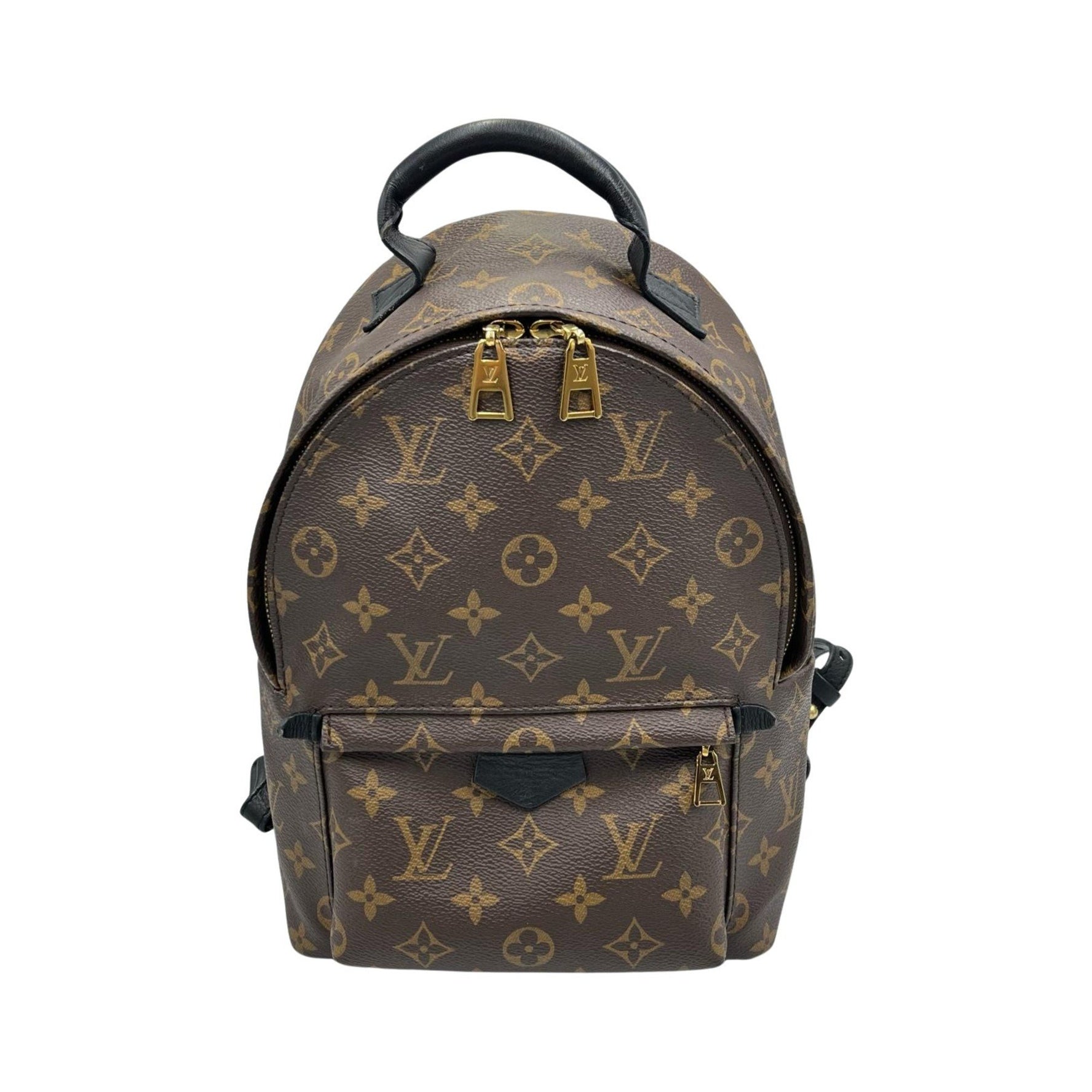 Louis Vuitton Palm Springs Backpack PM Monogram Canvas Brown Backpack/Daypack