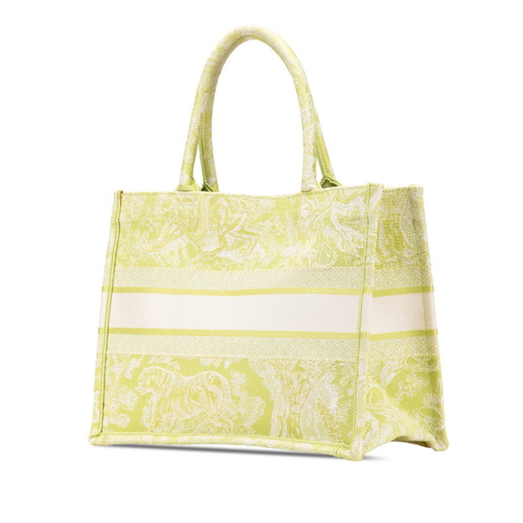 Christian Dior Dior Book Tote Medium Bag Light Green Canvas