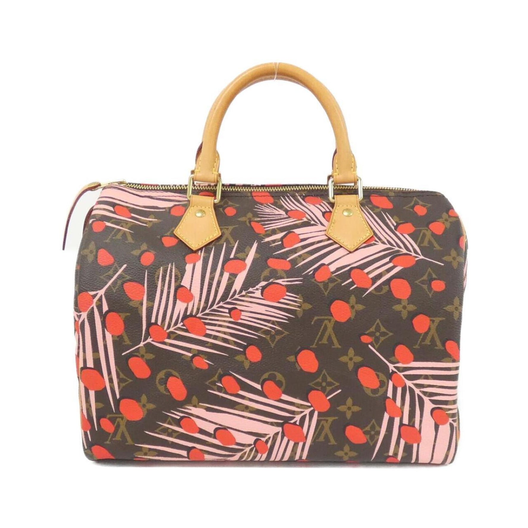 Louis Vuitton Monogram Summer Jungle Dot Speedy Boston Bag