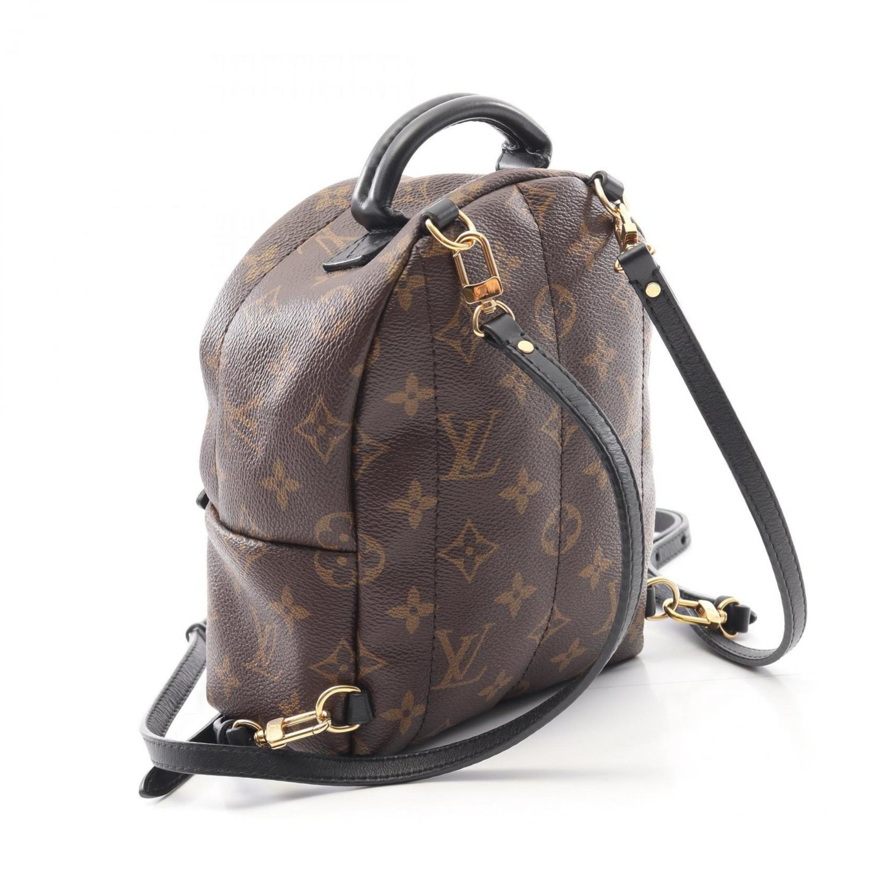 Louis Vuitton Palm Springs Mini Backpack, Coated Canvas and Leather, Monogram, Brown Black