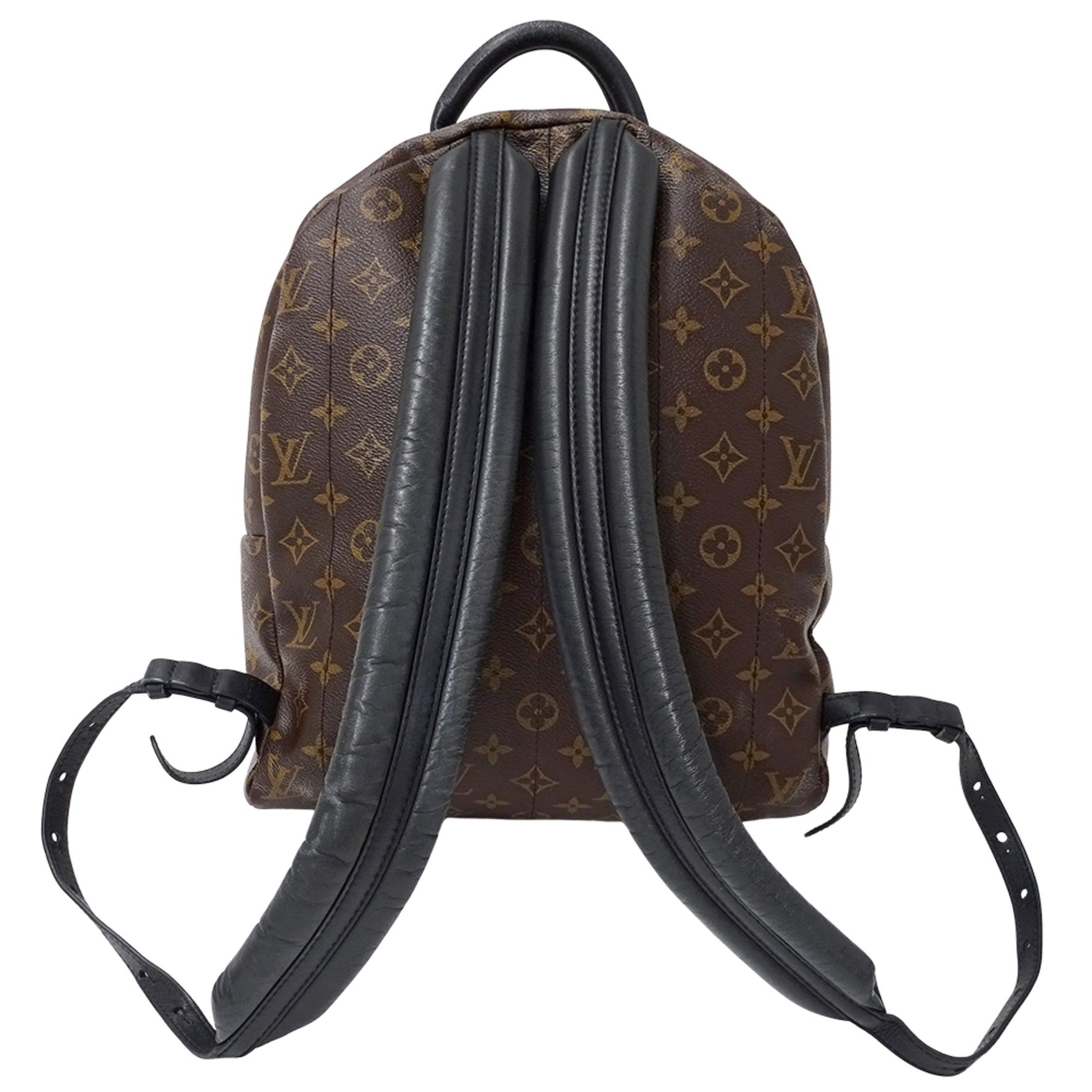 Louis Vuitton Monogram Palm Springs Backpack MM Brown