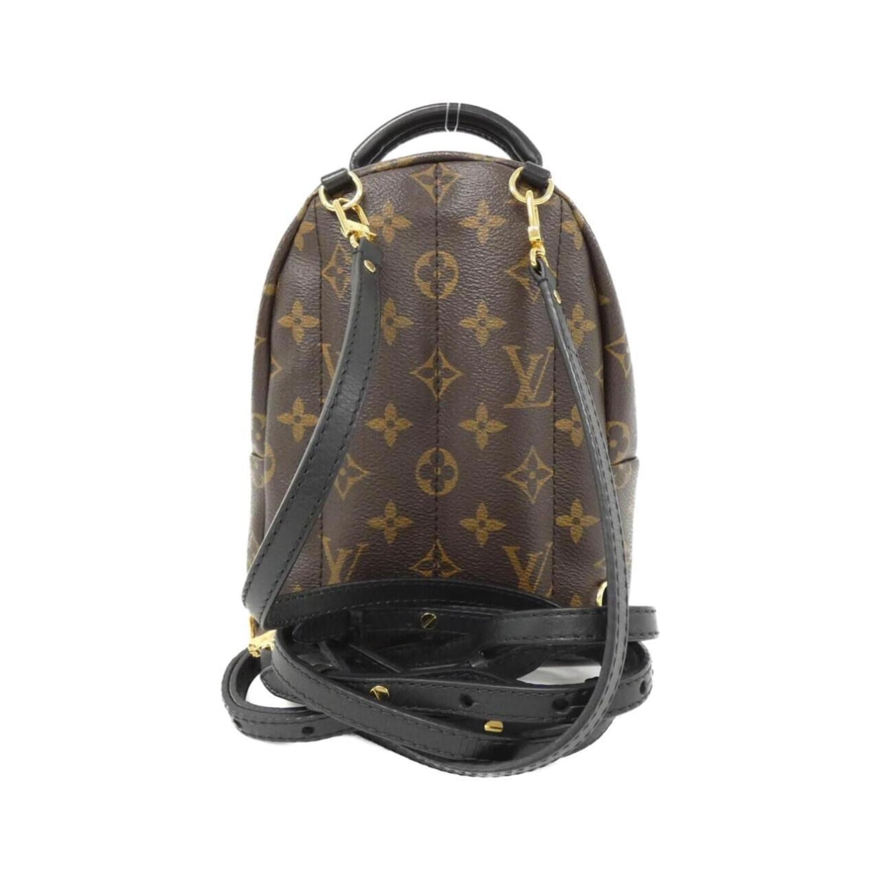 Louis Vuitton Monogram World Tour Palm Springs Backpack MINI Rucksack