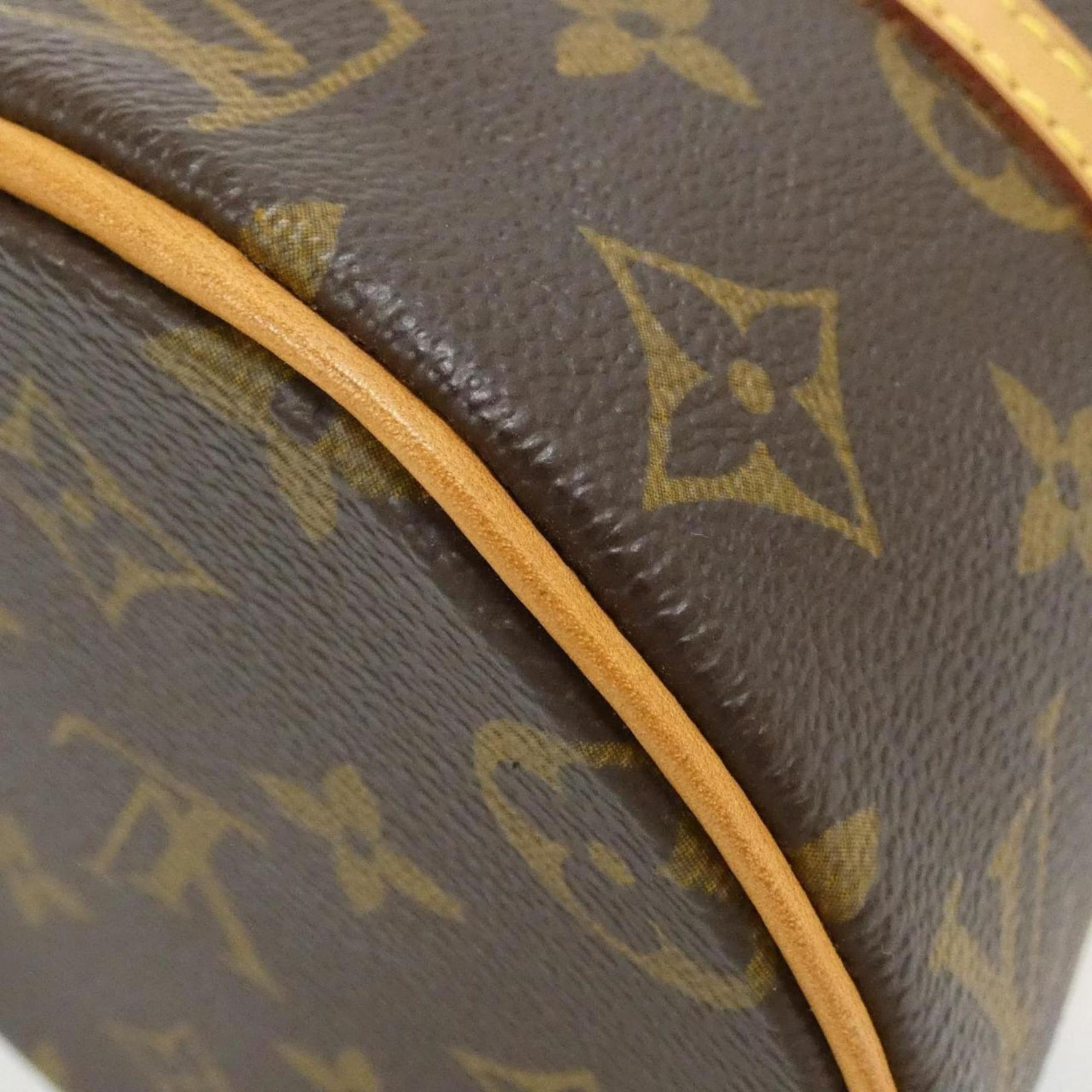 Louis Vuitton Monogram Papillon Handbag