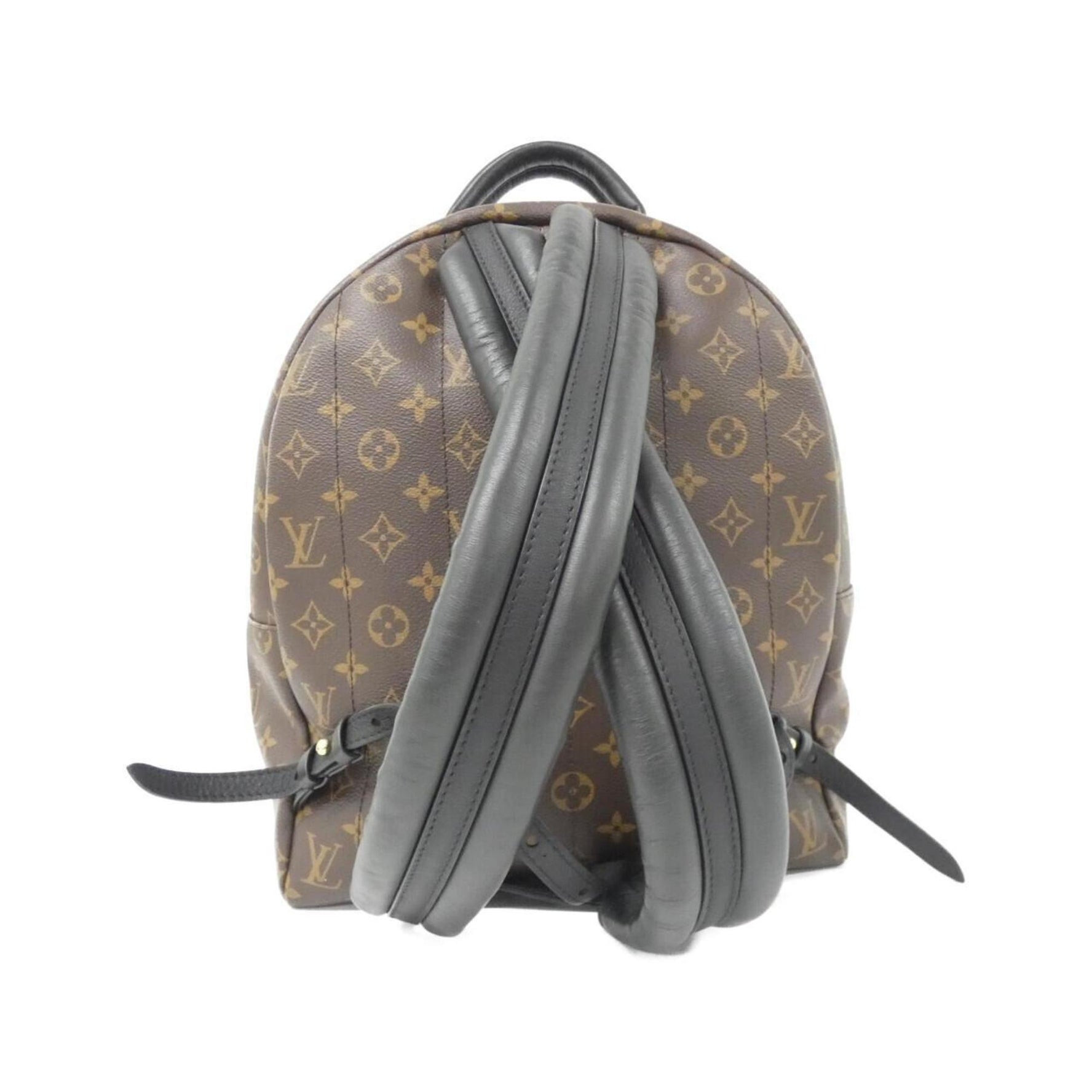 Louis Vuitton Monogram Palm Springs Backpack MM Rucksack