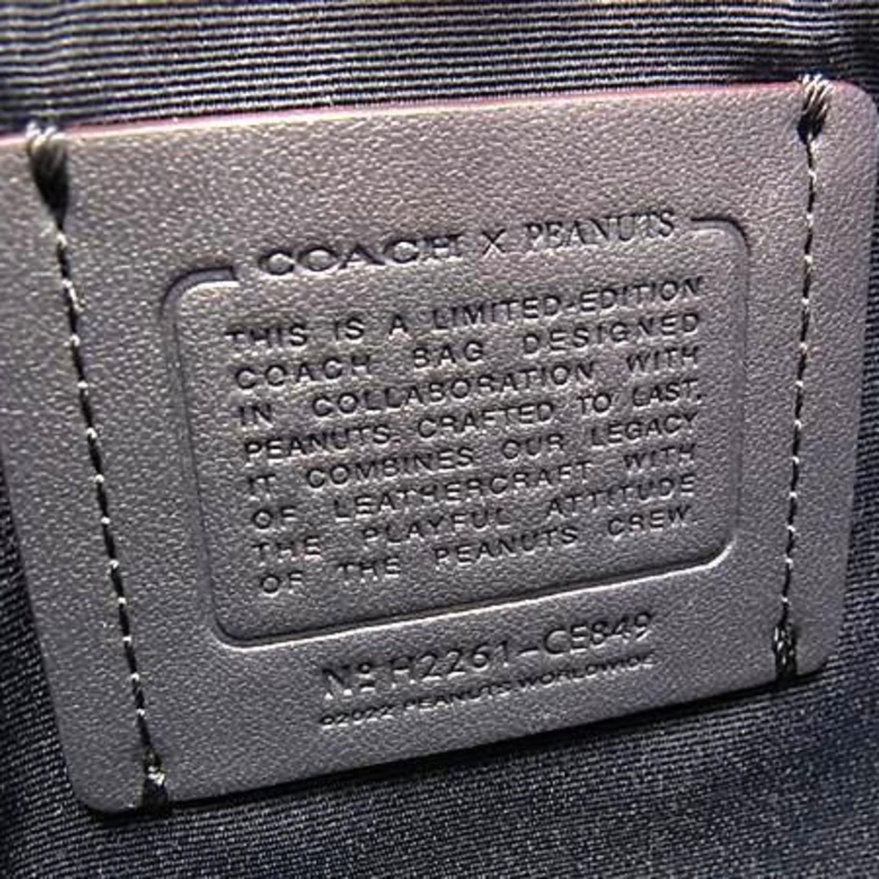 COACH Peanuts & Snoopy Collaboration Dempsey Tote 22 Leather Handbag