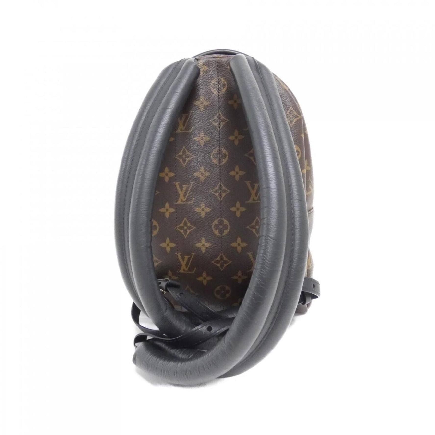 Louis Vuitton Monogram Palm Springs Backpack PM Rucksack