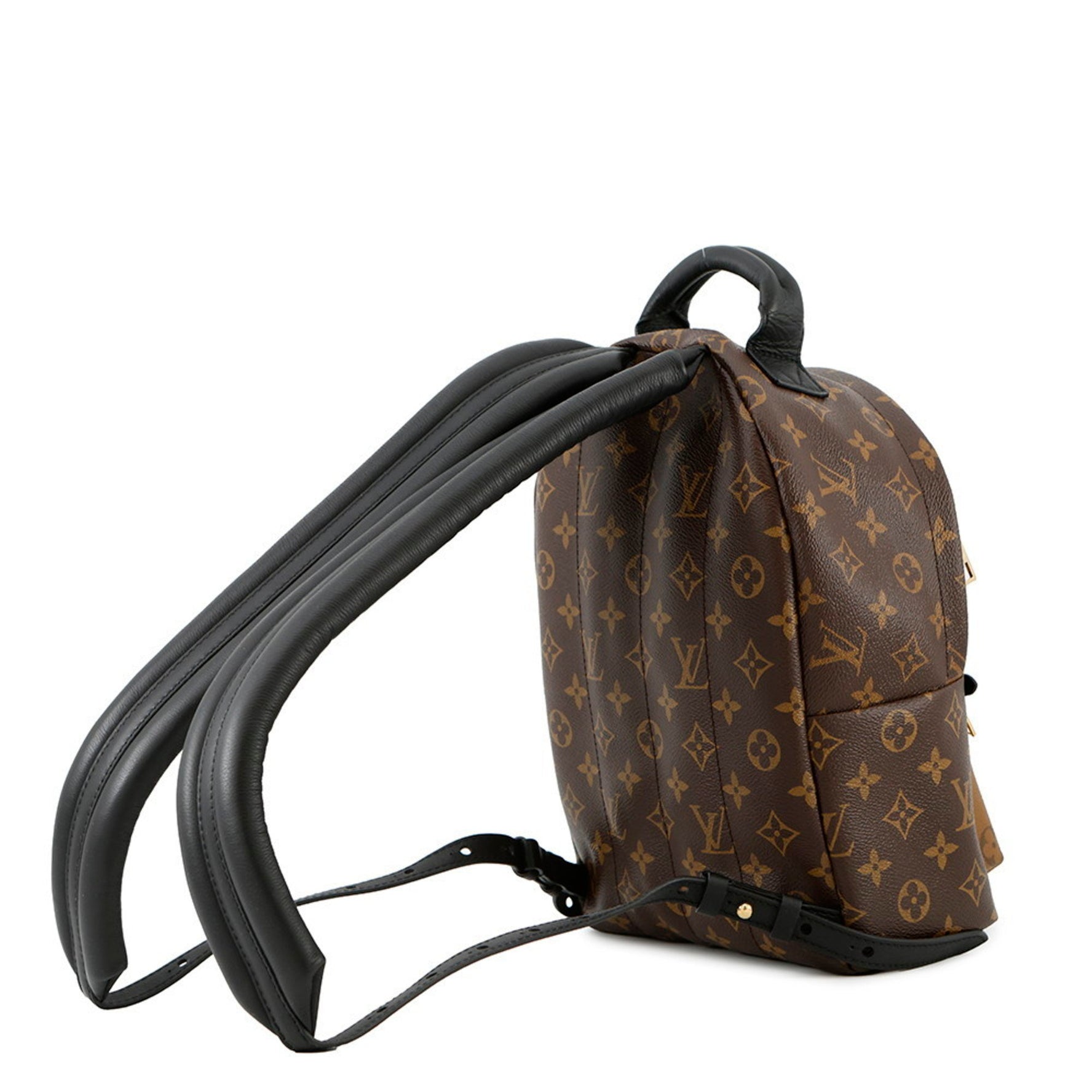 Louis Vuitton Monogram Reverse Palm Springs Backpack PM LOUIS VUITTON