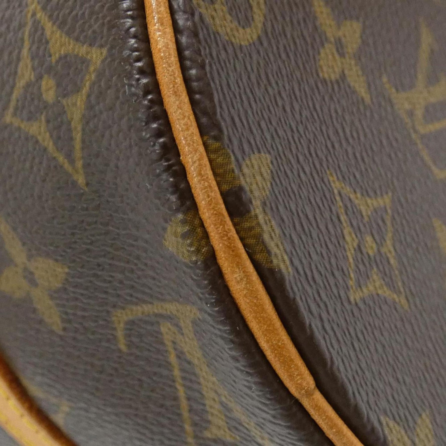 Louis Vuitton Monogram Papillon Handbag