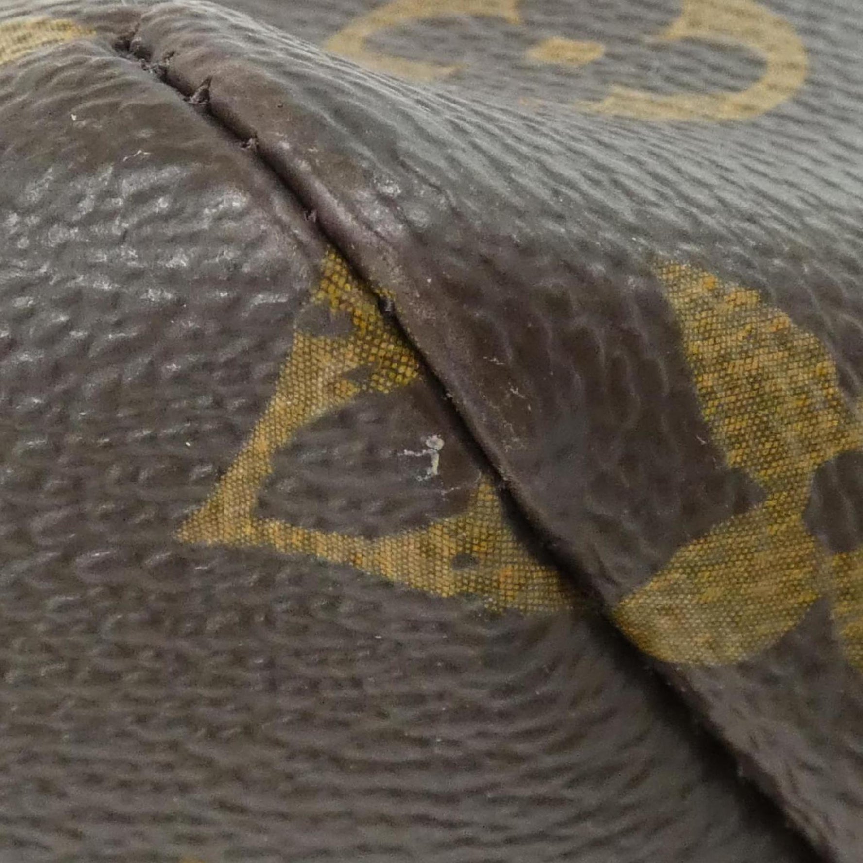 Louis Vuitton Monogram Raspail PM Handbag