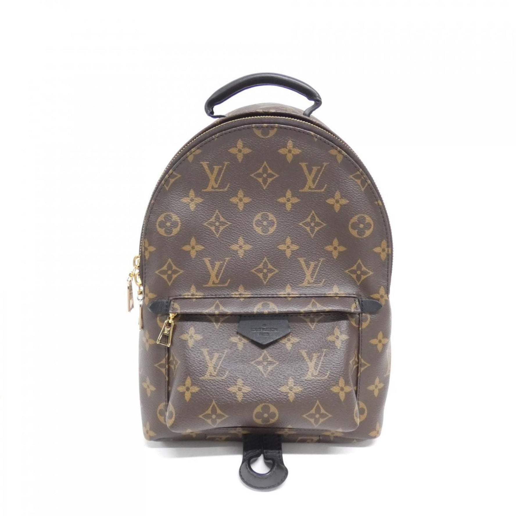 Louis Vuitton Monogram Palm Springs Backpack PM Rucksack