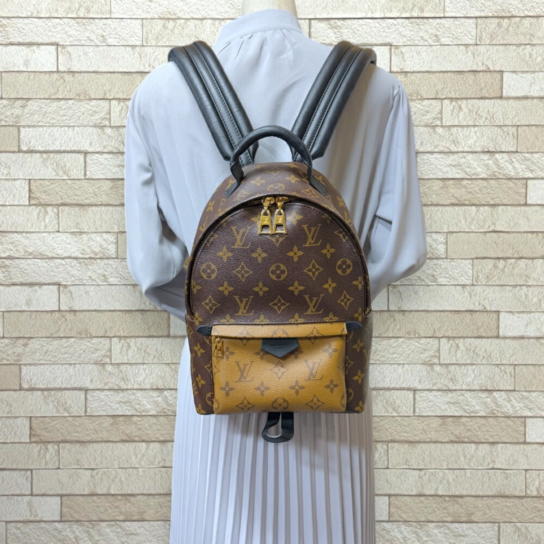 Louis Vuitton Palm Springs PM Monogram Reverse Backpack/Daypack Canvas