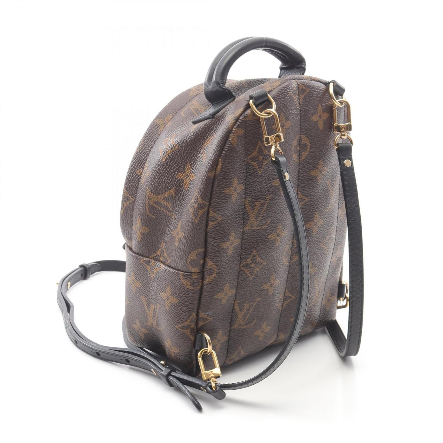 Louis Vuitton Palm Springs Mini Monogram Backpack, Coated Canvas and Leather, Brown Black