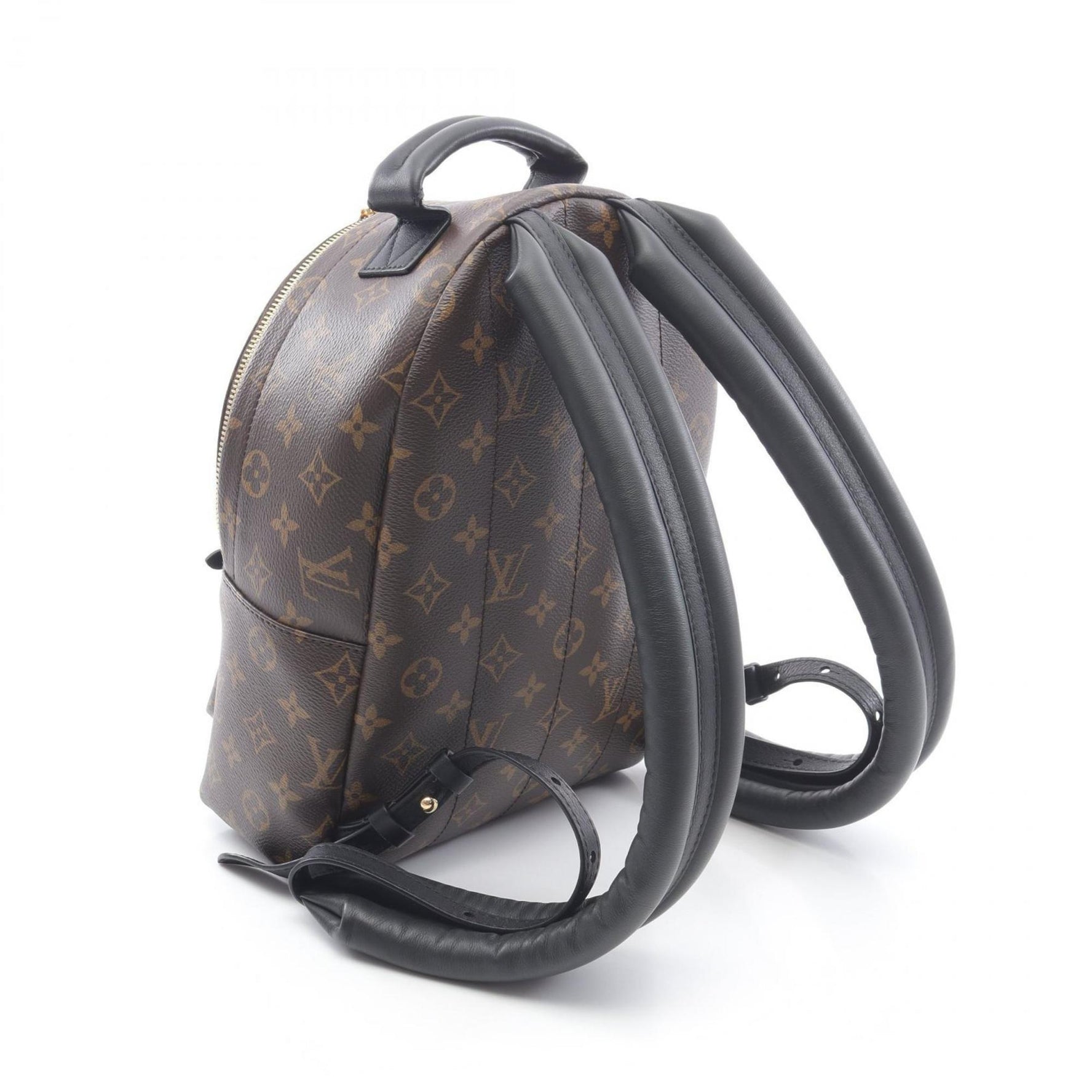 Louis Vuitton Palm Springs Backpack PM, Coated Canvas and Leather Monogram Backpack, Brown Black