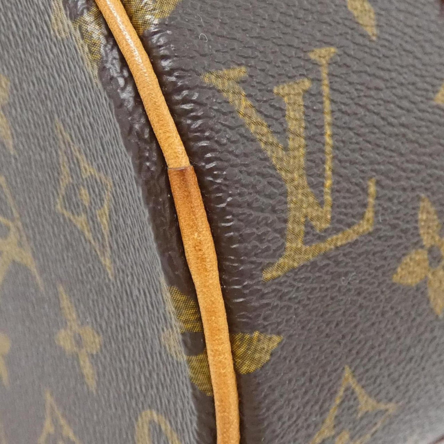 Louis Vuitton Monogram Papillon Handbag