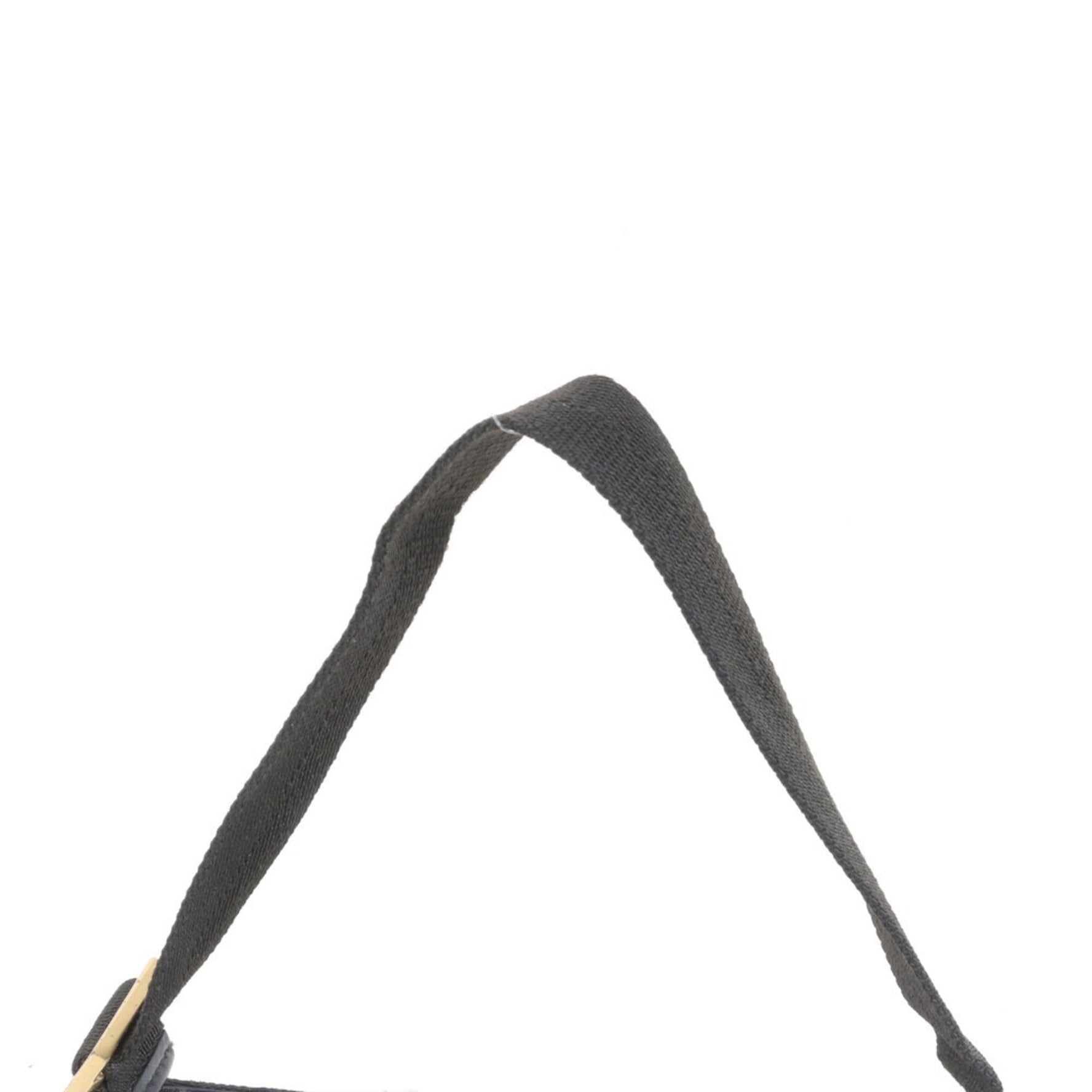 Gucci GG Canvas Accessory Pouch Leather Shoulder Bag (One-Shoulder)