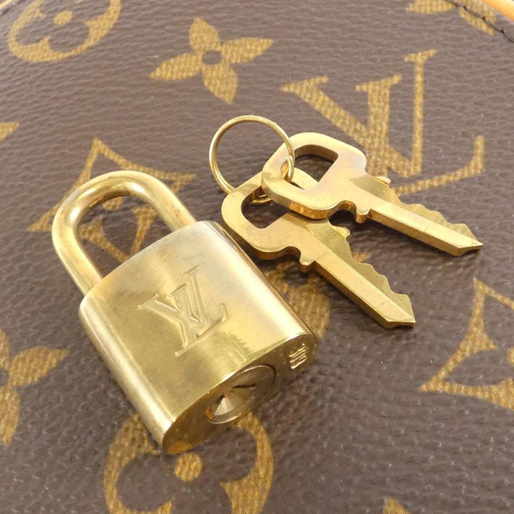 Louis Vuitton Monogram Ellipse PM Handbag