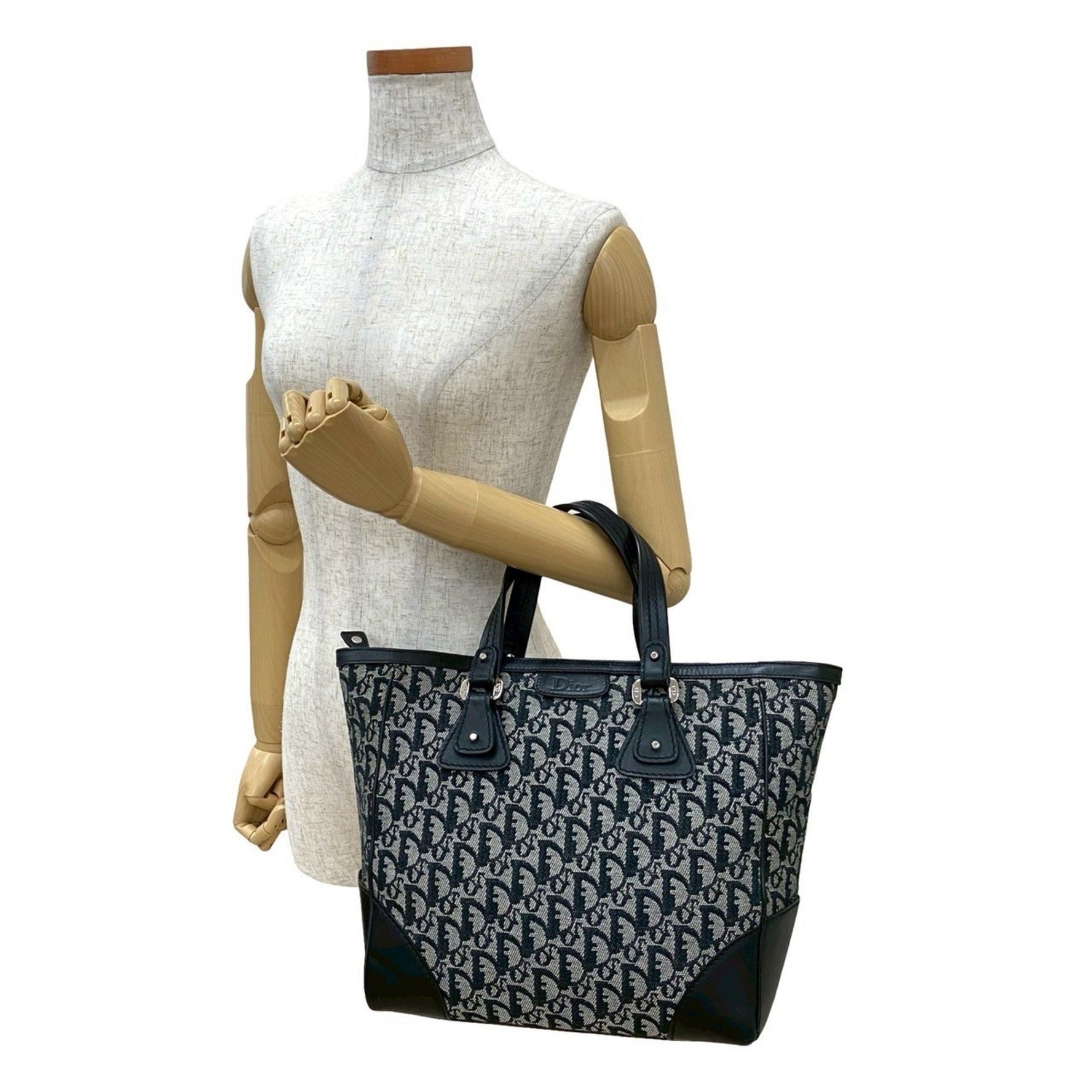 Christian Dior Trotter Print Canvas and Leather Handbag Mini Tote Bag