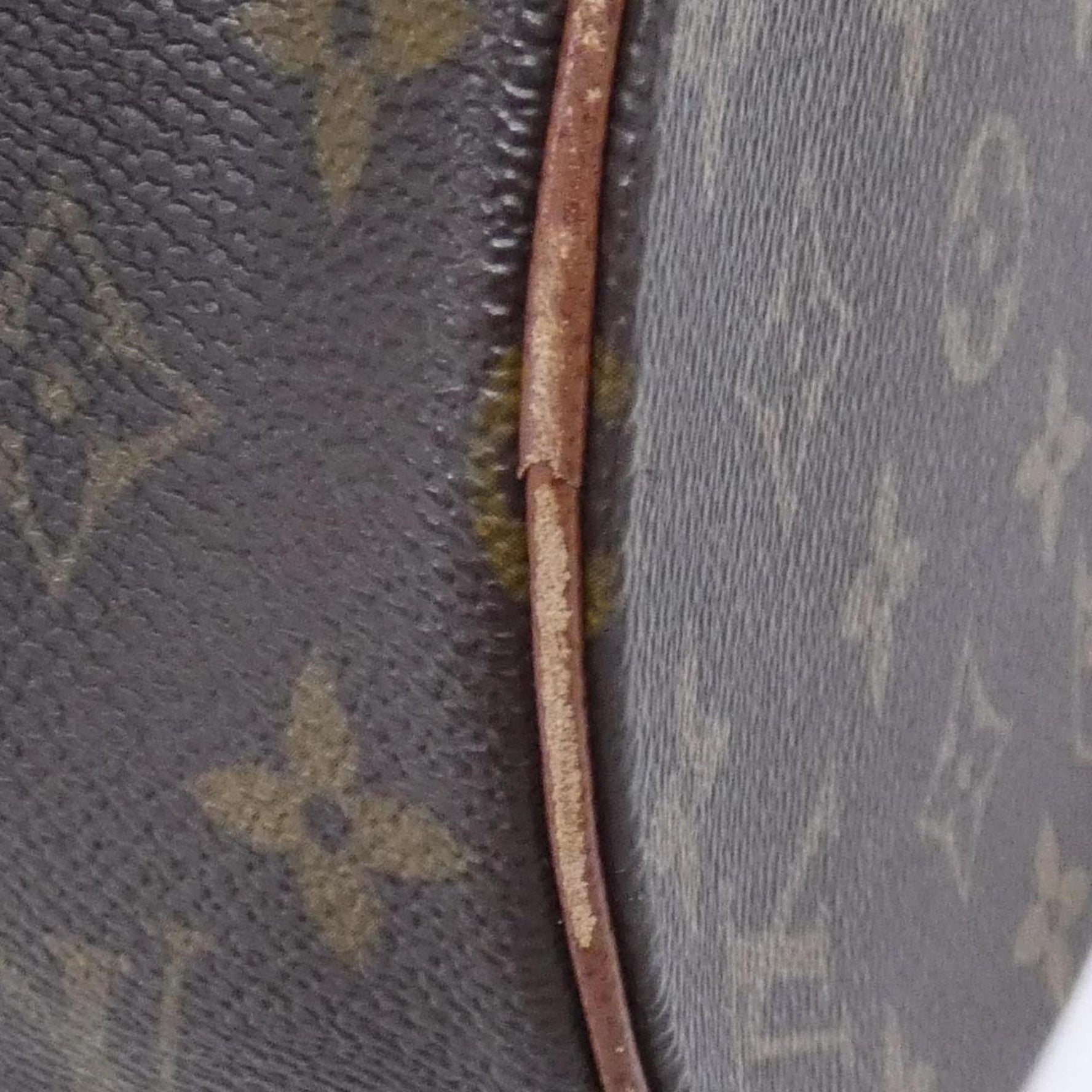 Louis Vuitton Monogram Papillon Handbag