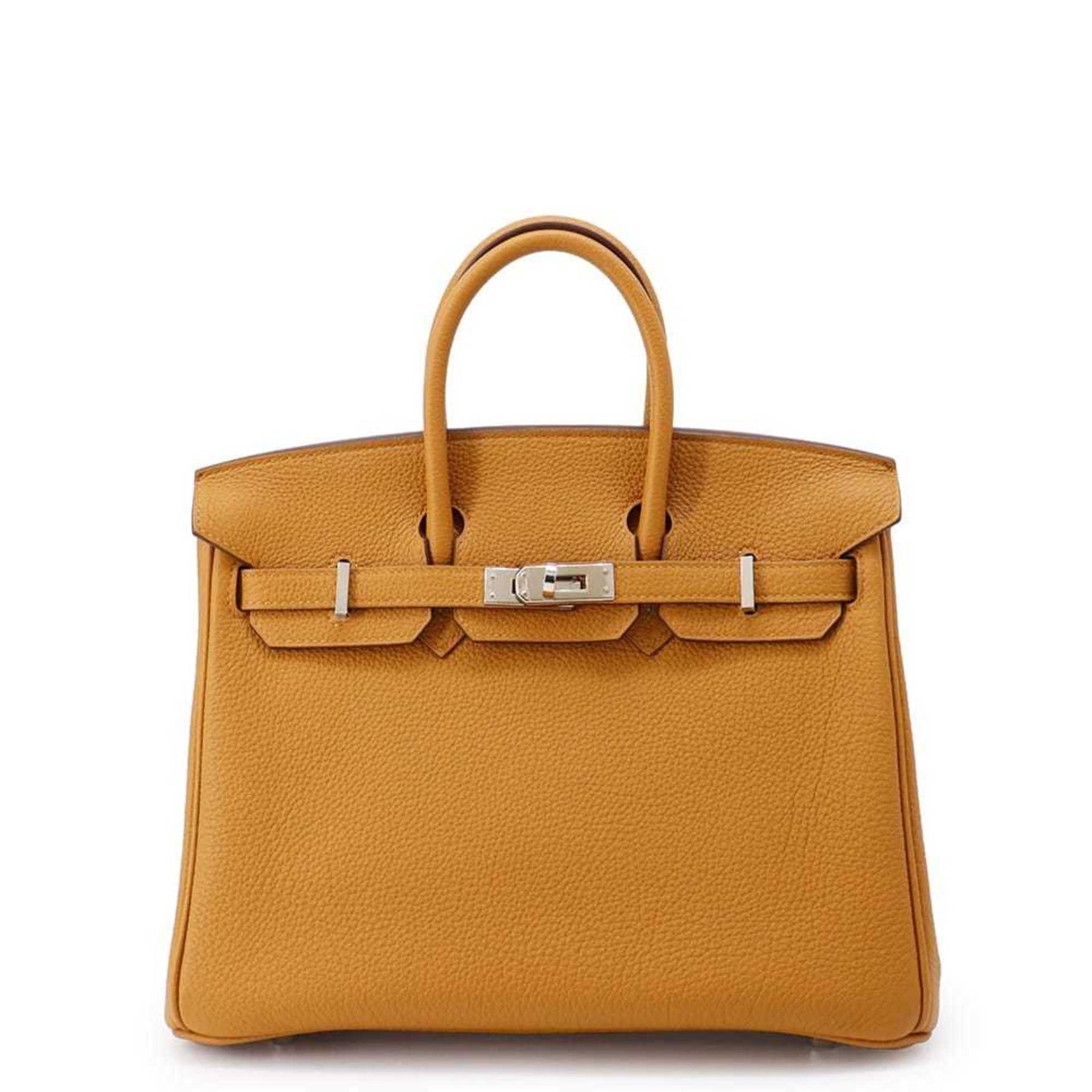 Hermès Birkin 25 Verso Caramel Lime Togo Y Stamp HERMES Handbag
