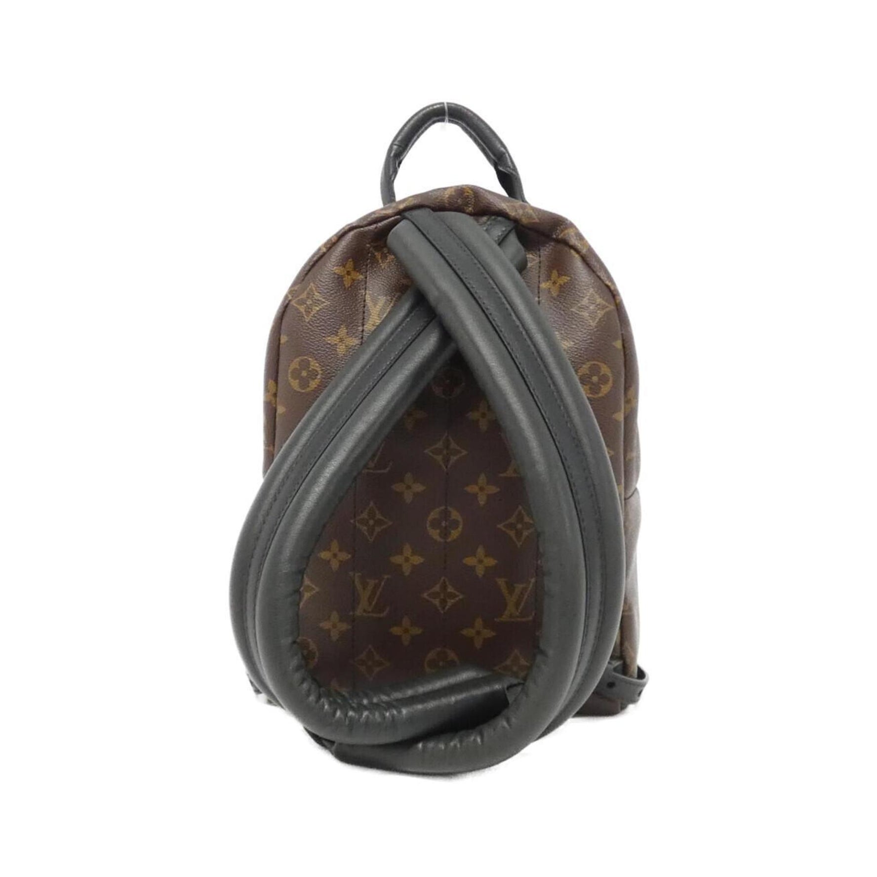 Louis Vuitton Monogram Palm Springs Backpack PM M41560 Rucksack