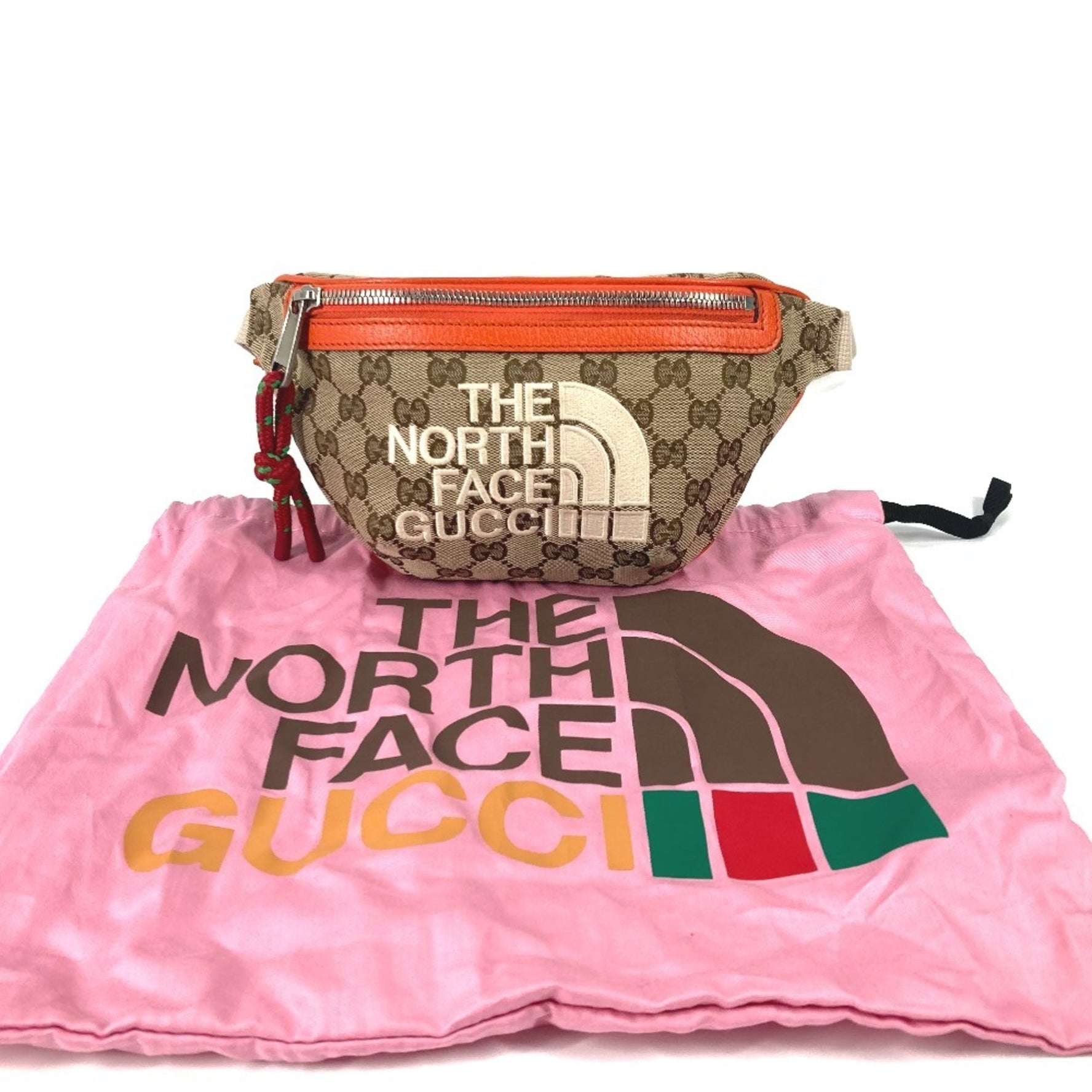GUCCI THE NORTH FACE collaboration GG logo belt bag Belt Bag Crossbody Body Leather Canvas Beige