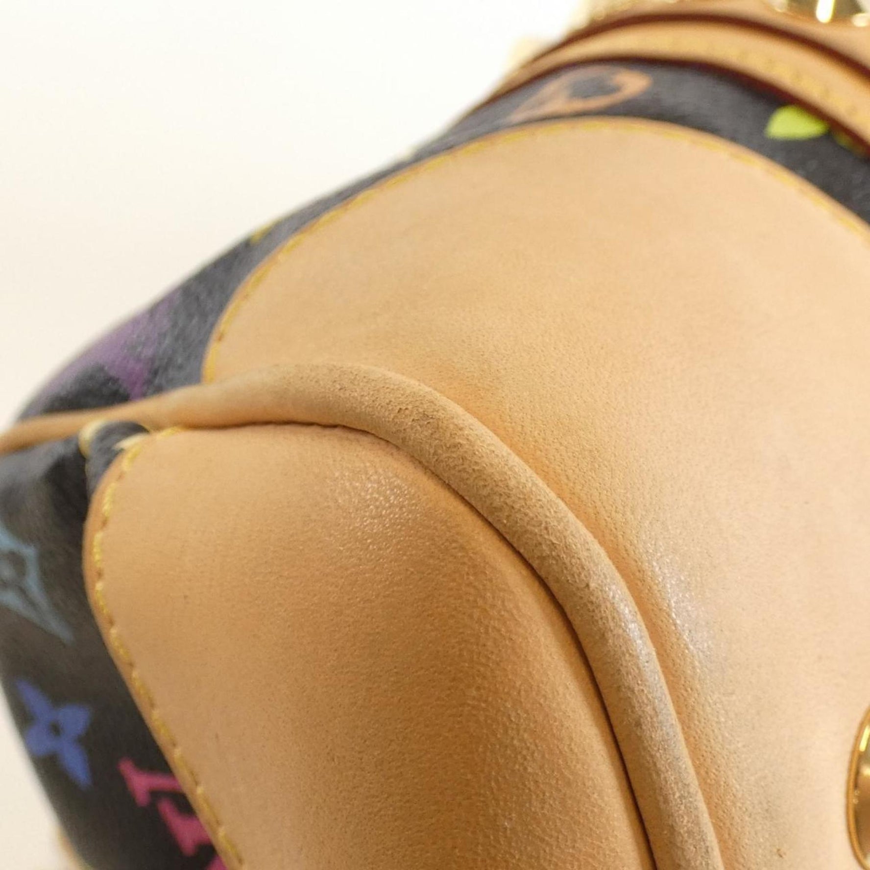 Louis Vuitton Multicolor Courtney Handbag