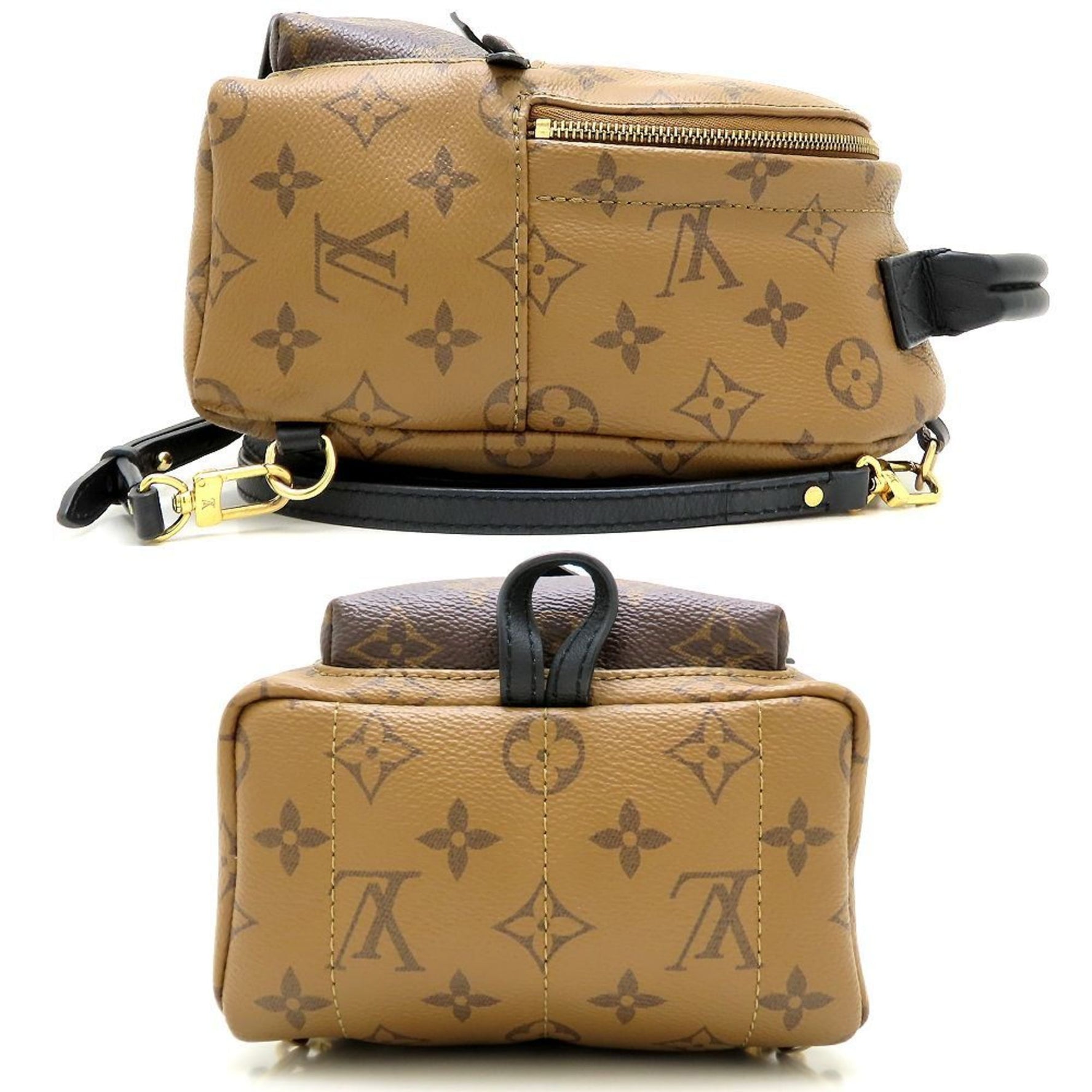 Louis Vuitton Monogram Reverse Palm Springs Backpack MINI