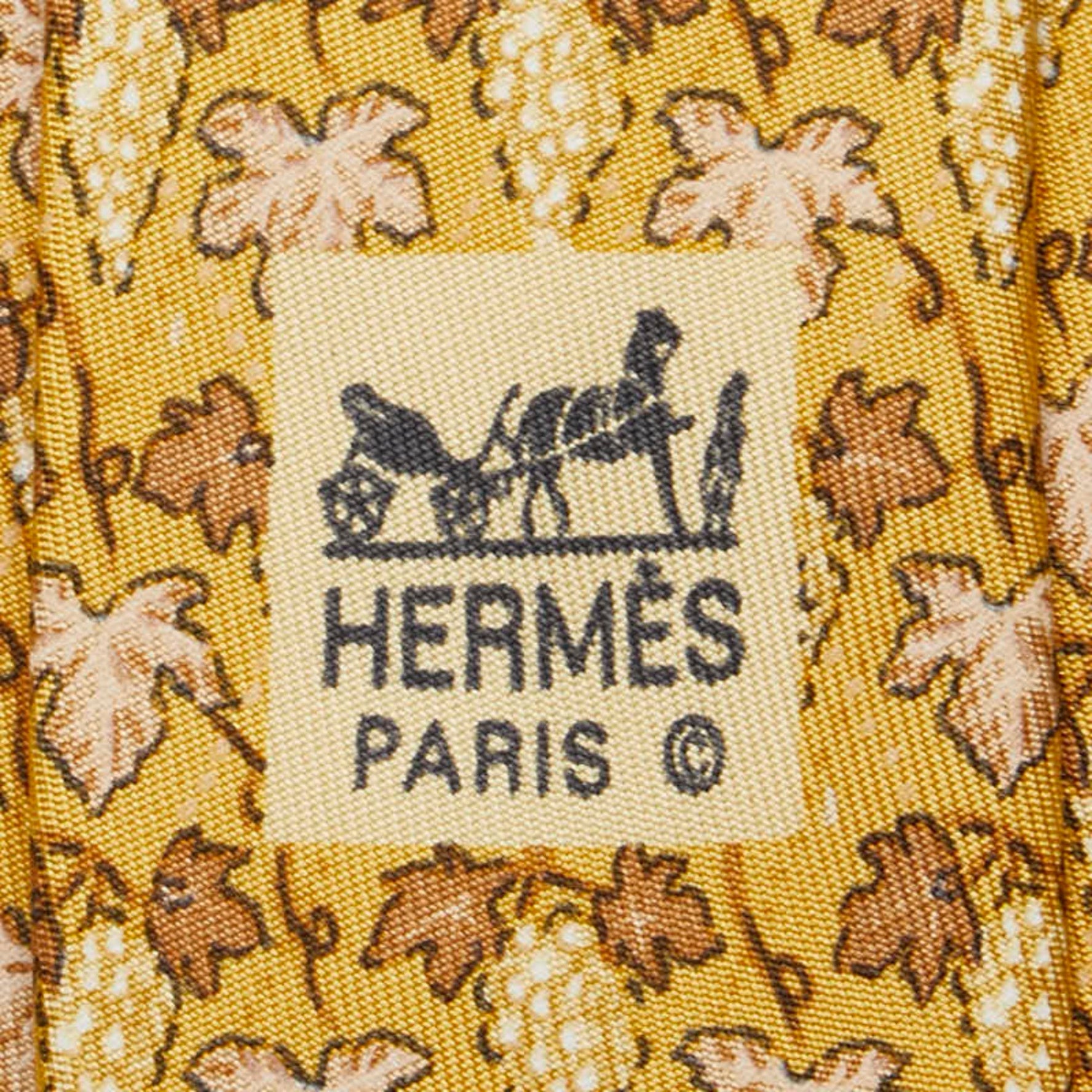 Hermes Grape Tie, Yellow, Brown, Multicolor, Silk
