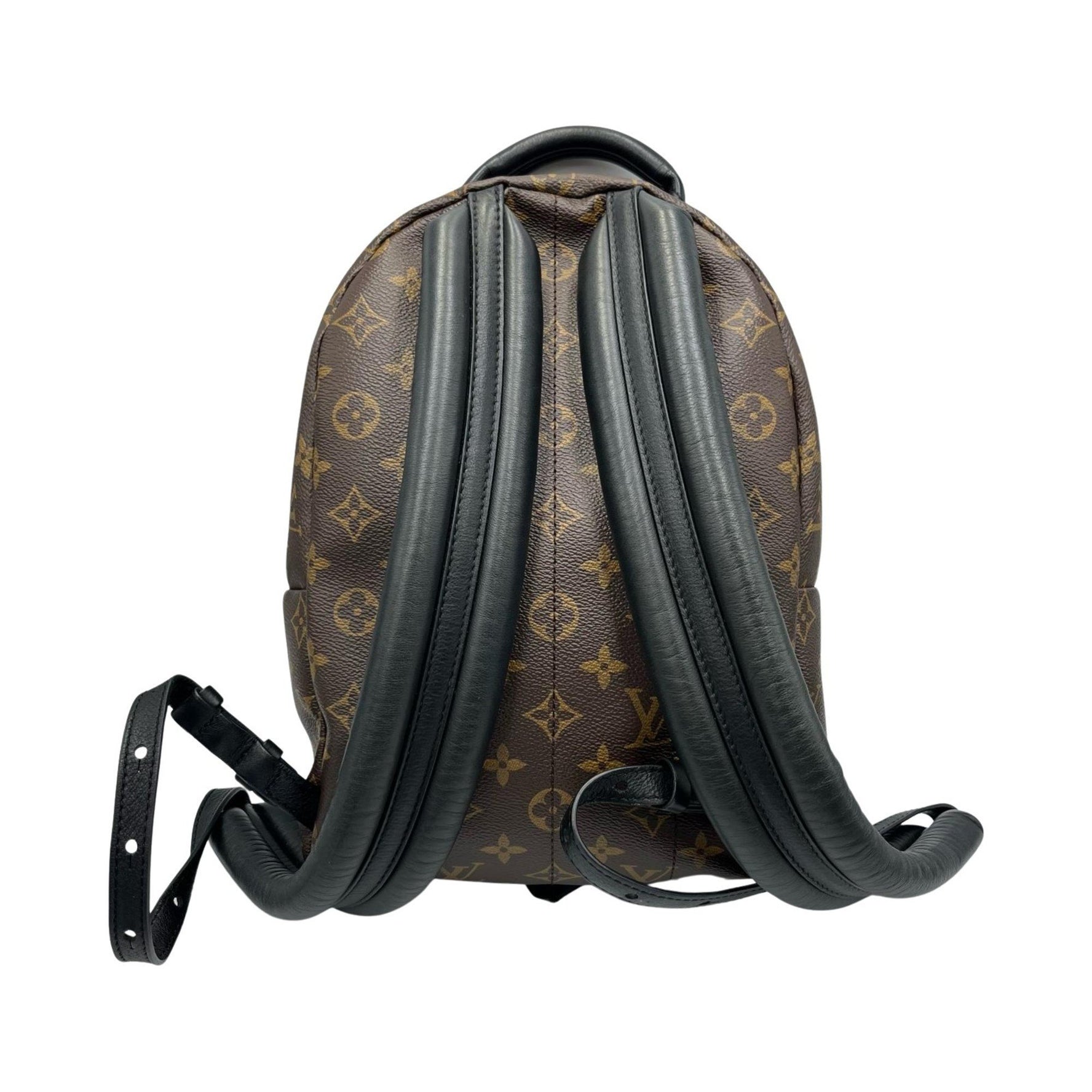 Louis Vuitton Palm Springs Backpack PM Monogram Canvas Brown Backpack/Daypack