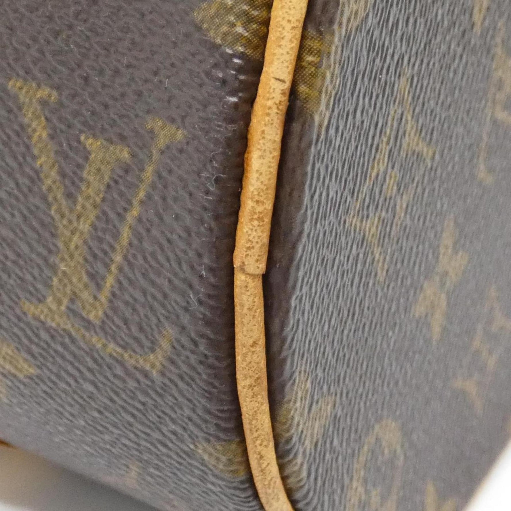 Louis Vuitton Monogram Papillon Handbag