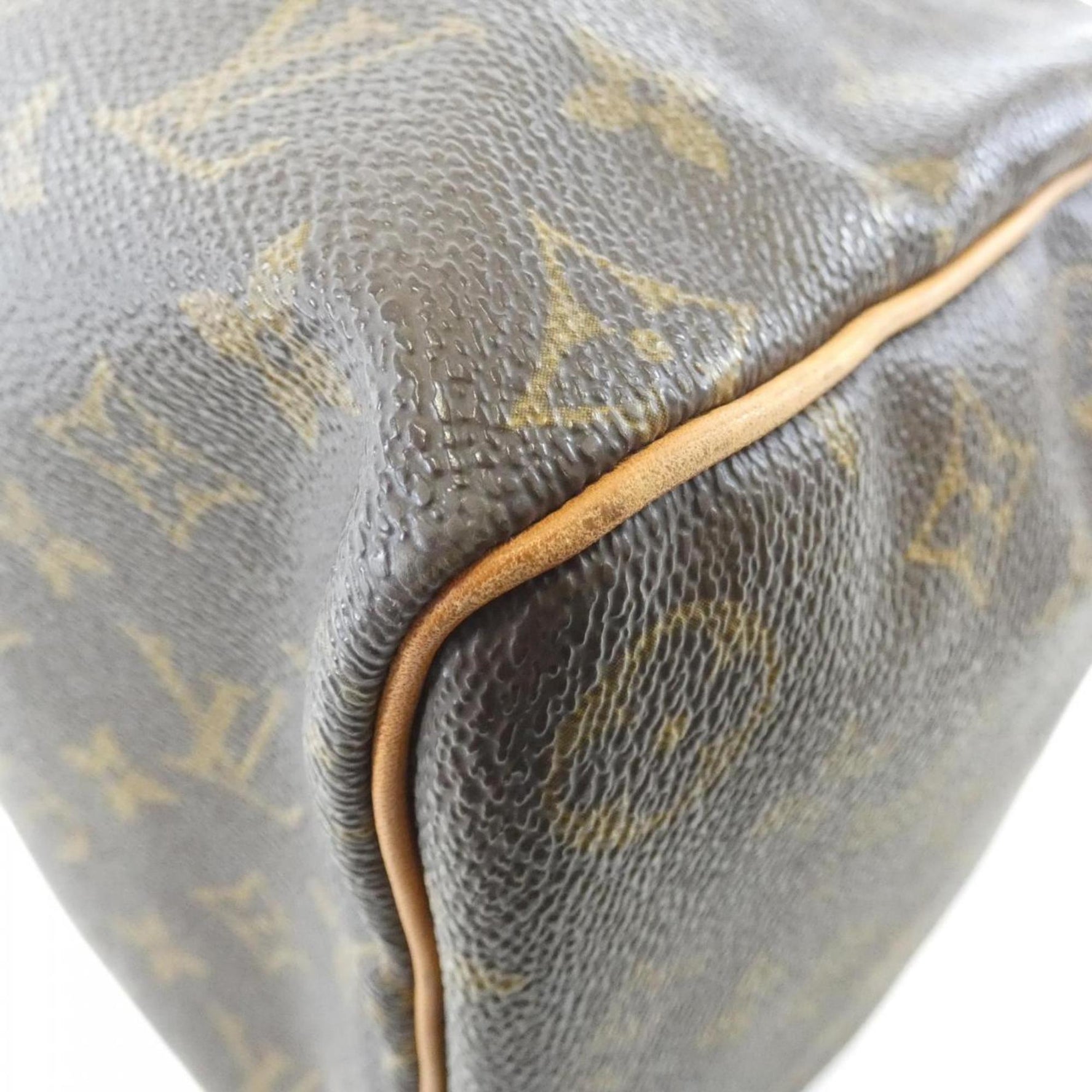 Louis Vuitton Monogram Speedy Handbag