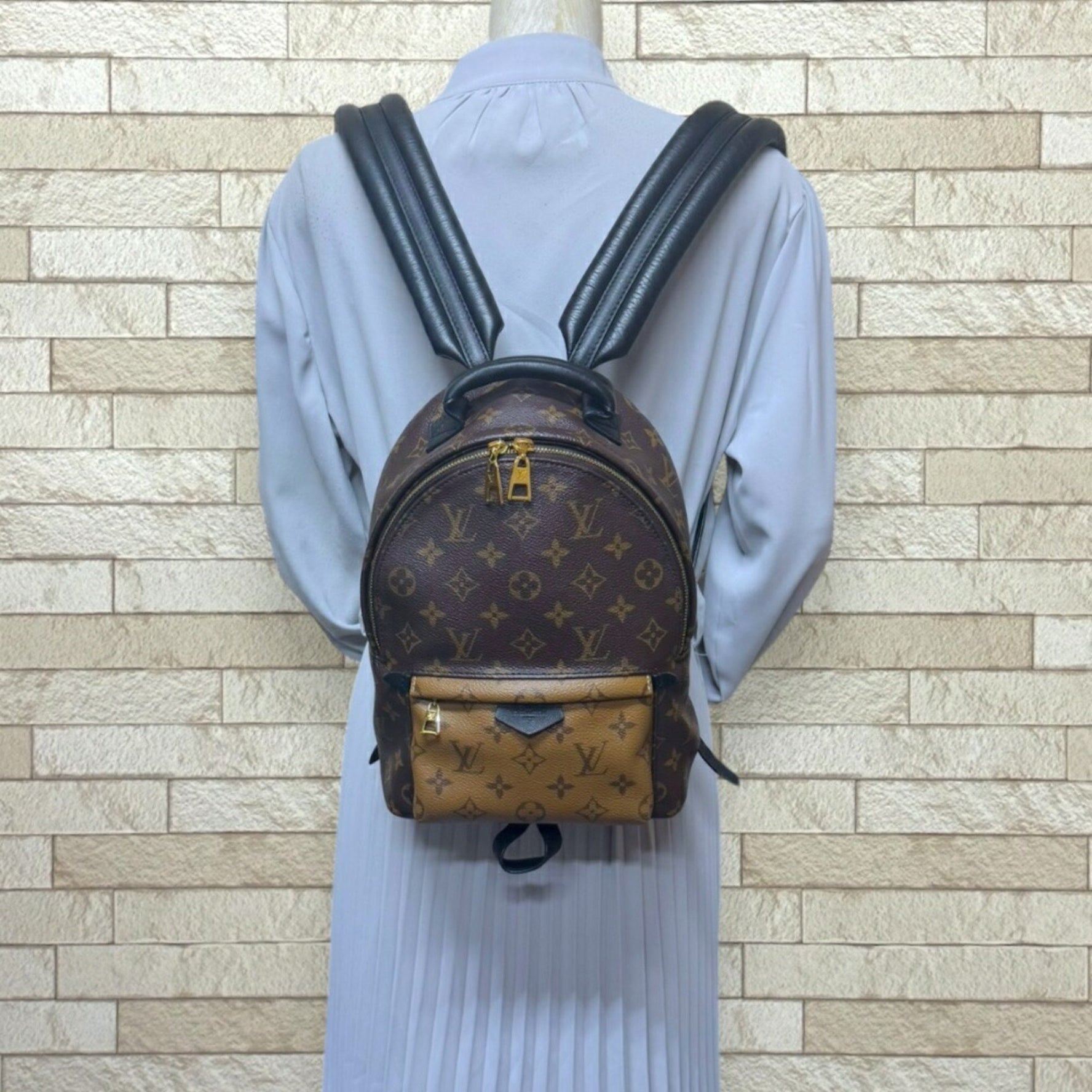 Louis Vuitton Palm Springs PM Monogram Reverse Backpack/Daypack in Canvas, LOUIS VUITTON