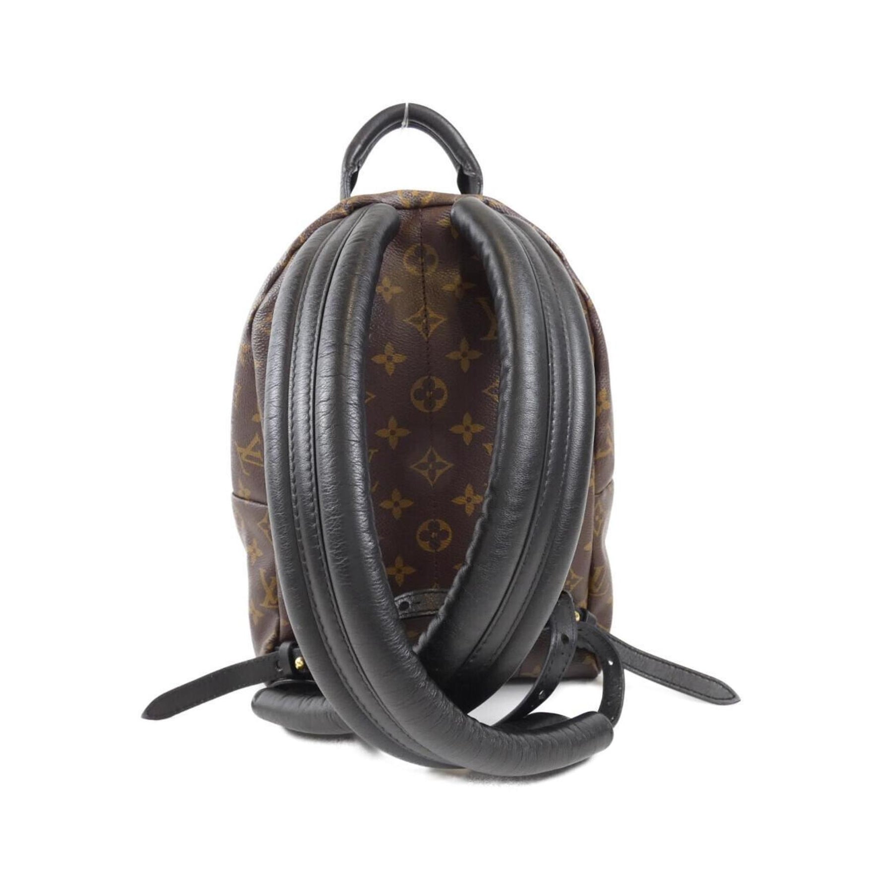 Louis Vuitton Monogram Reverse Palm Springs Backpack Rucksack