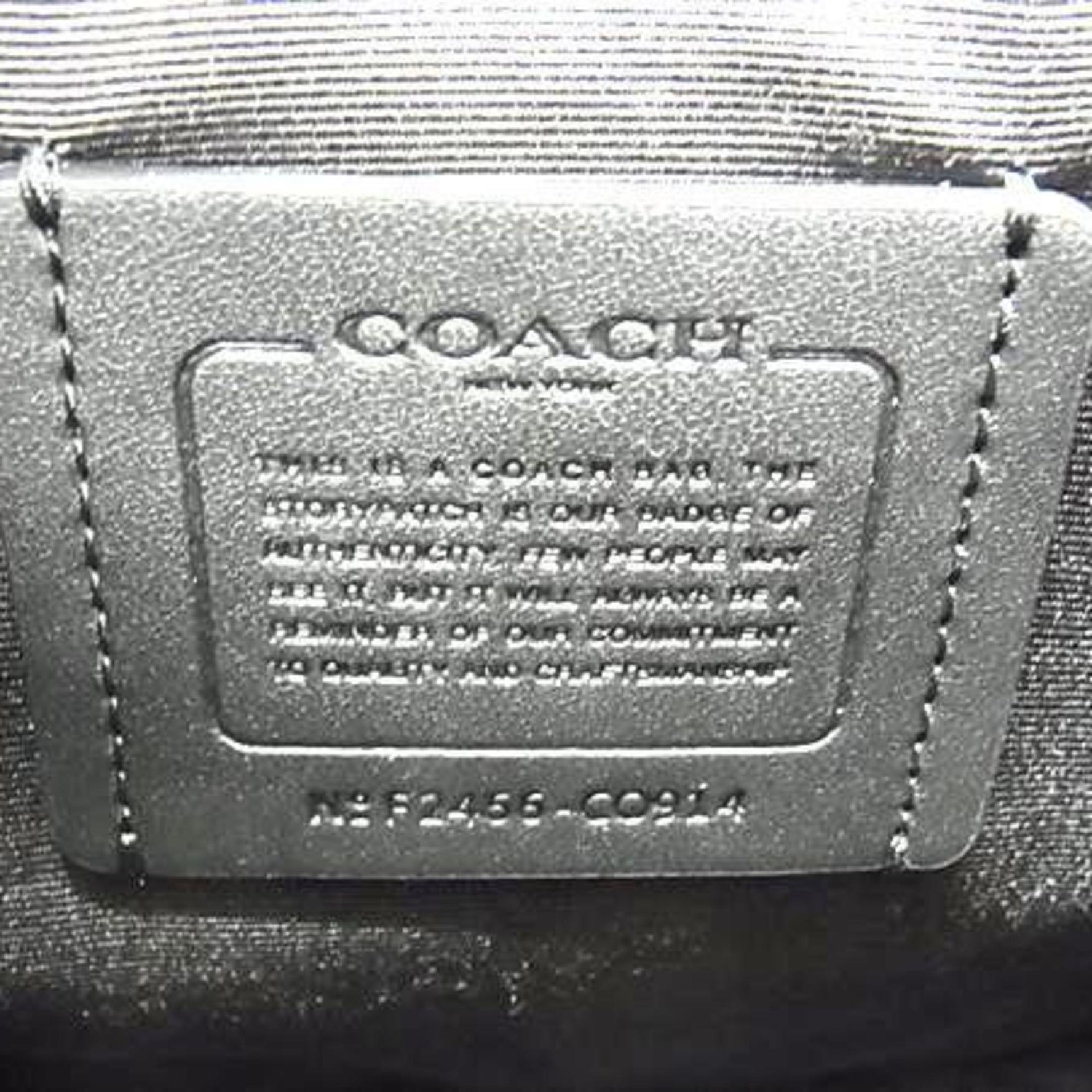 COACH Lucas Crossbody Shoulder Bag Leather Pochette