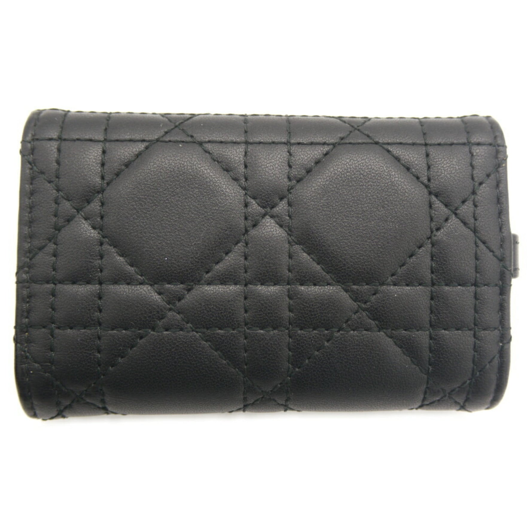 Christian Dior My Aster Key Case