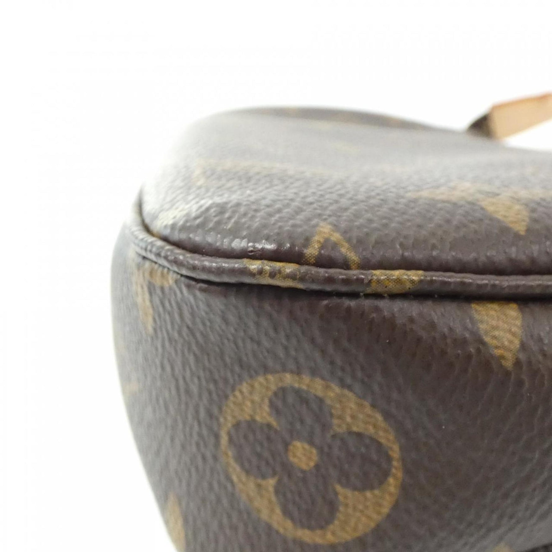Louis Vuitton Monogram Pochette Accessory Pouch