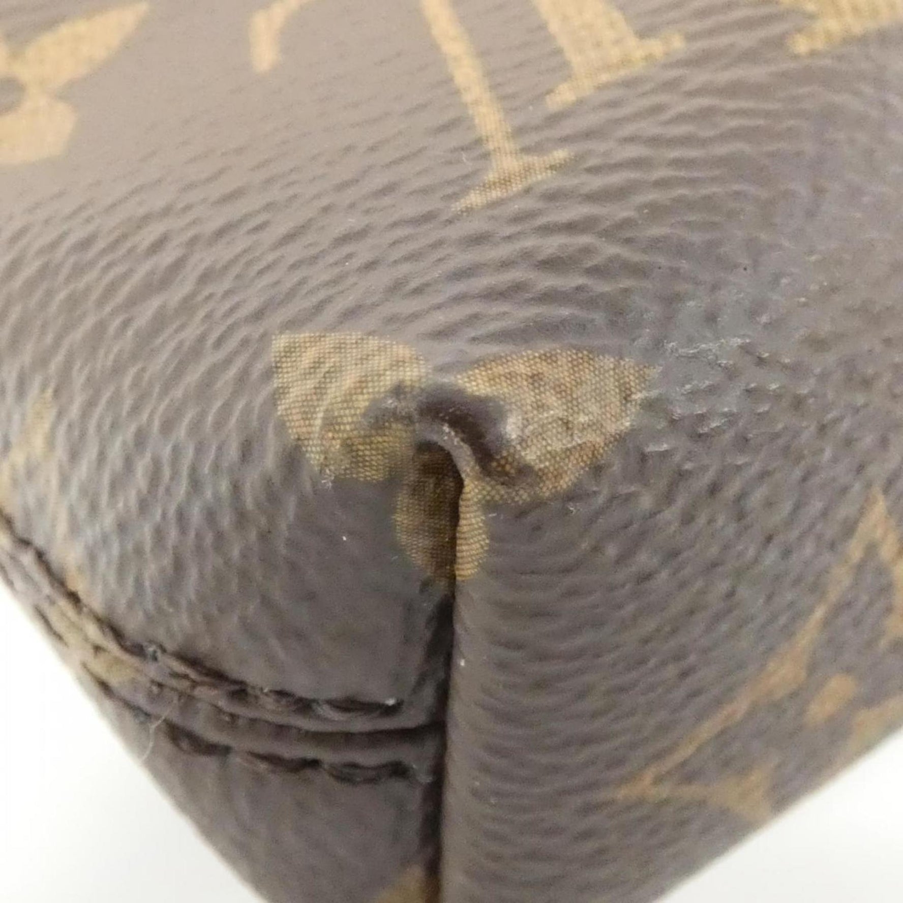 Louis Vuitton Monogram Carry It Handbag