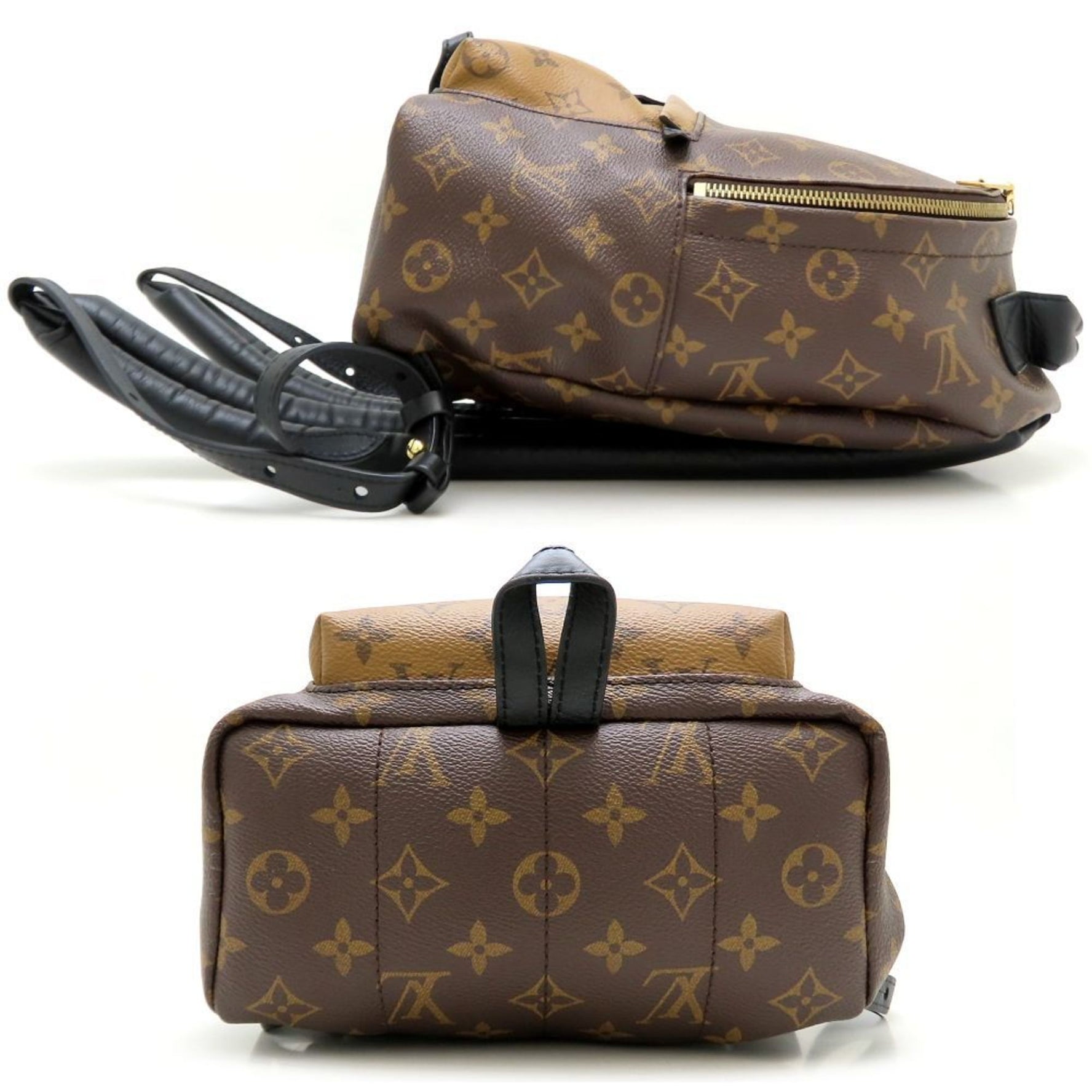 Louis Vuitton Monogram Reverse Palm Springs Backpack PM