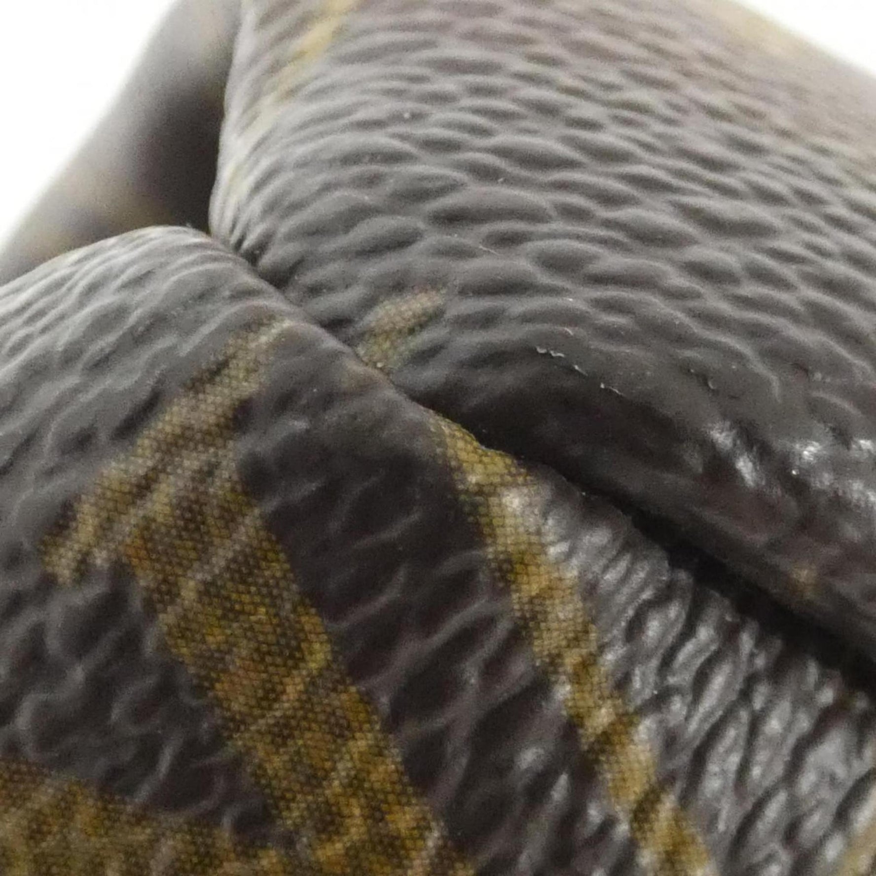 Louis Vuitton Monogram Artsy GM Shoulder Bag