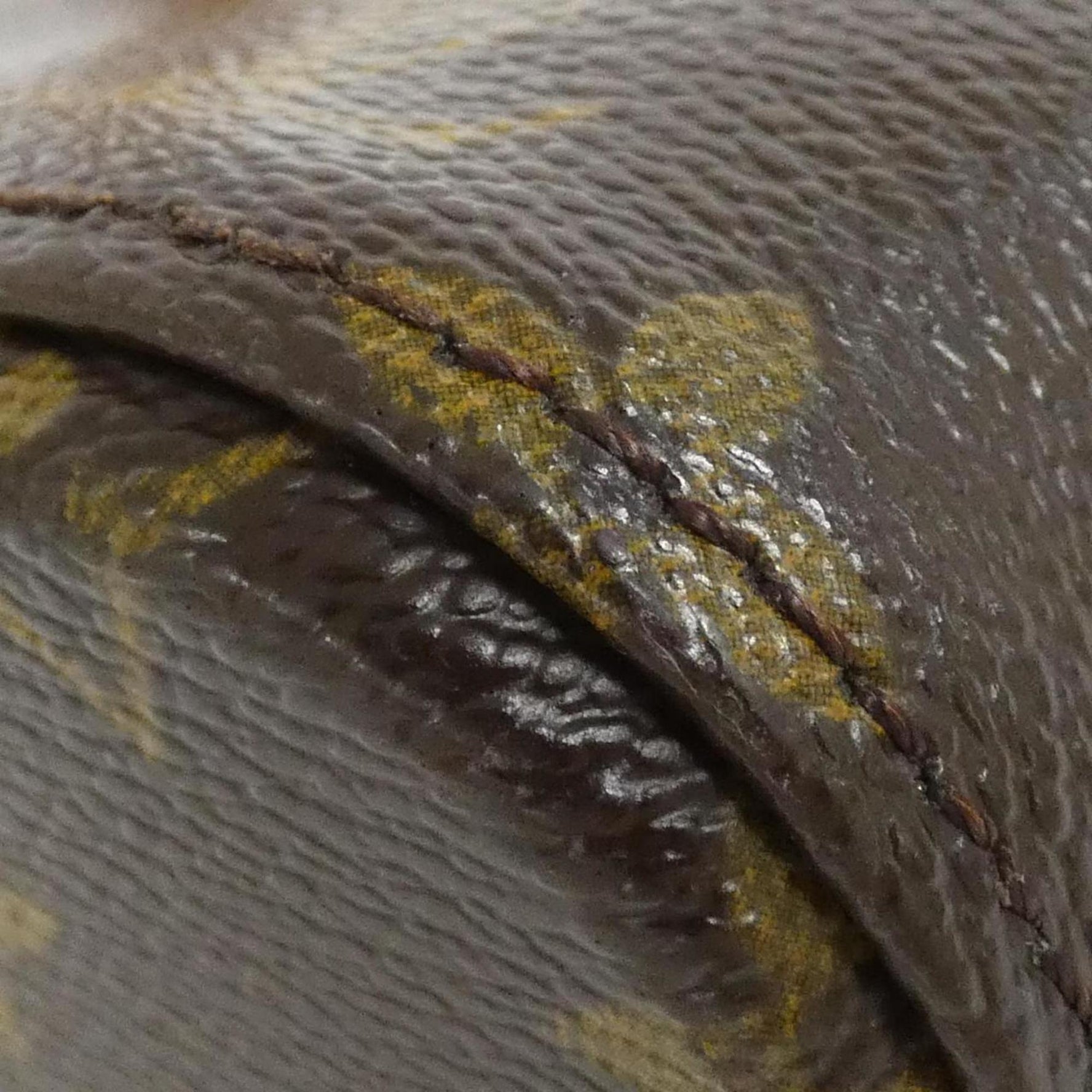 Louis Vuitton Monogram Vavin PM Handbag