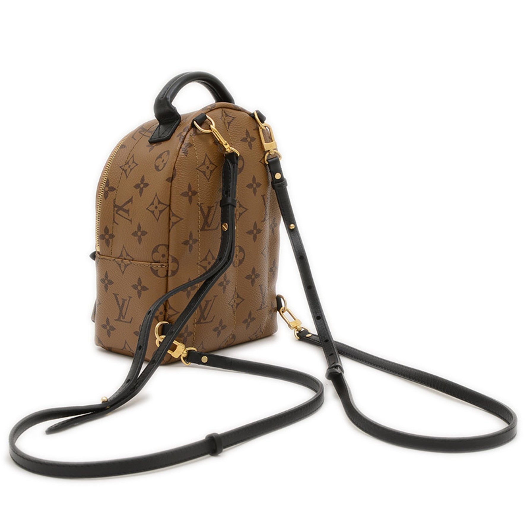 Louis Vuitton Monogram Reverse Palm Springs Mini Backpack BP