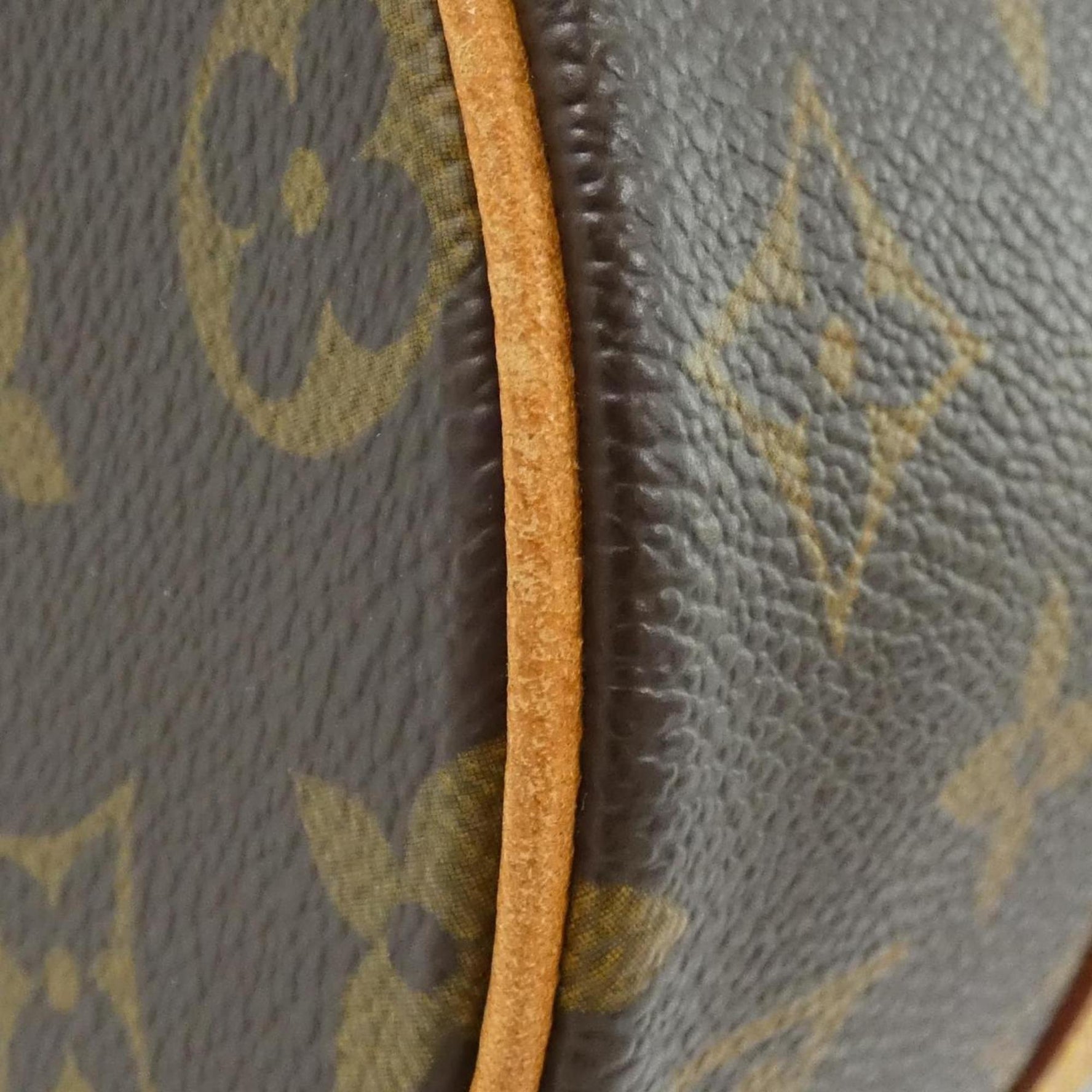 Louis Vuitton Monogram Papillon Handbag