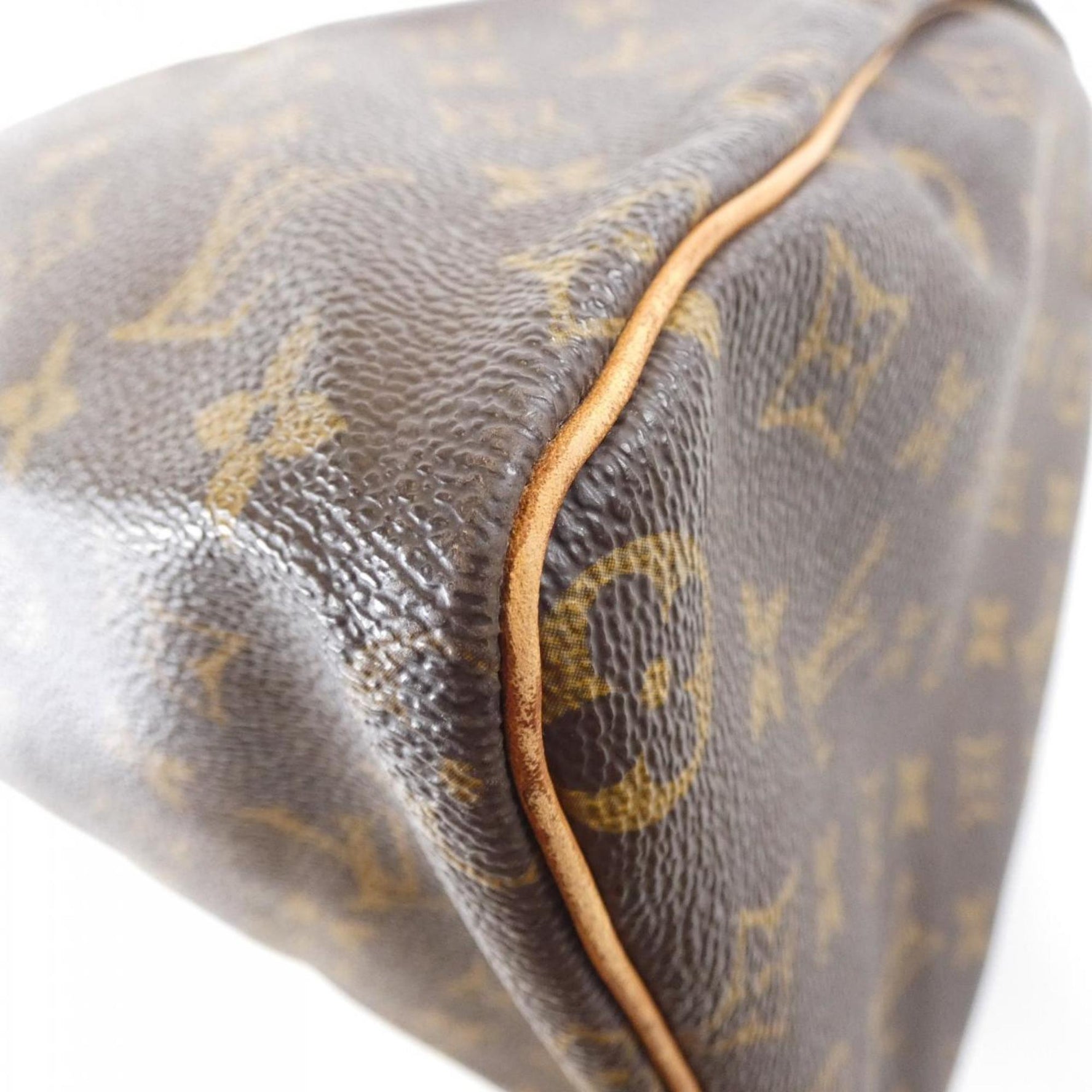 Louis Vuitton Monogram Speedy Handbag