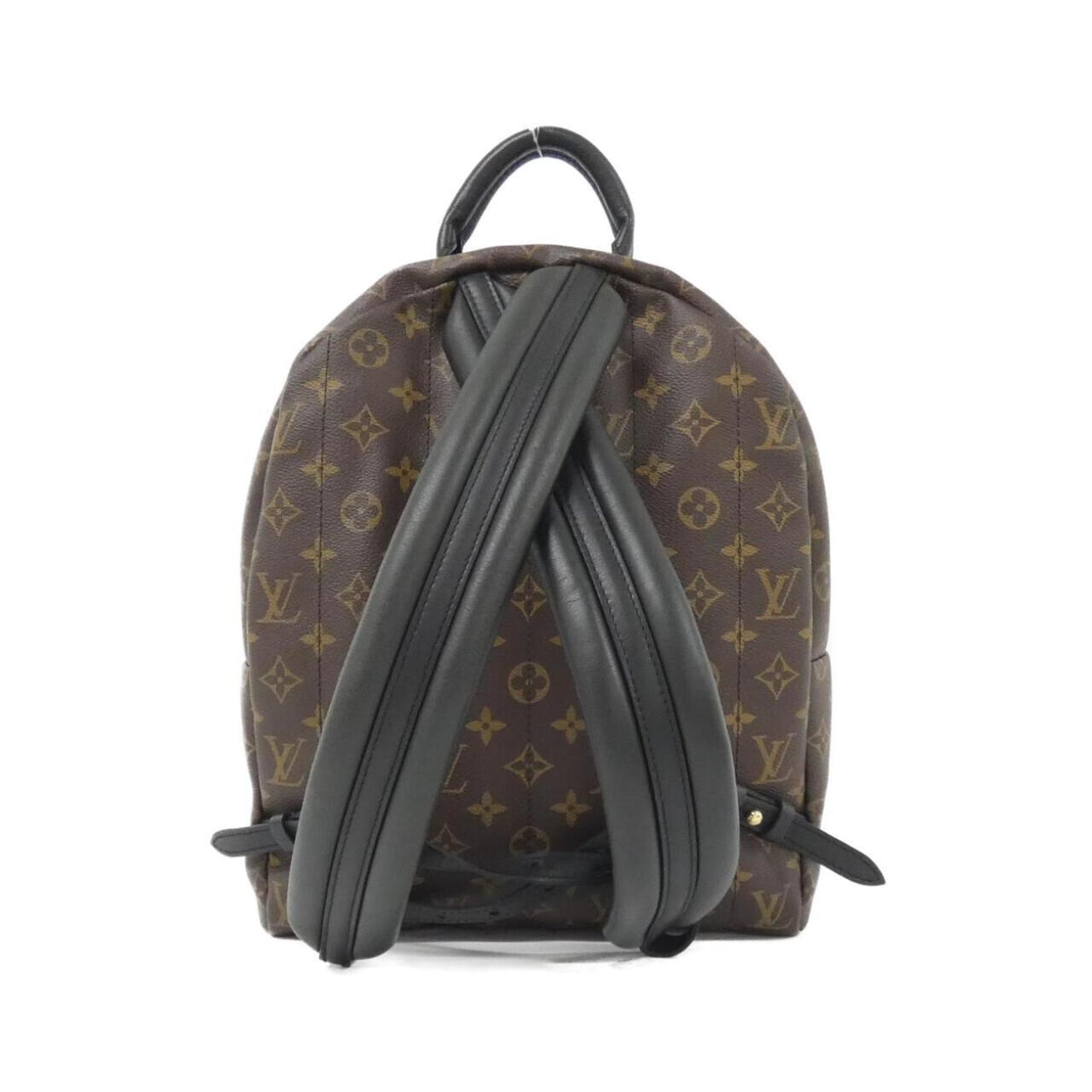 Louis Vuitton Monogram Palm Springs Backpack