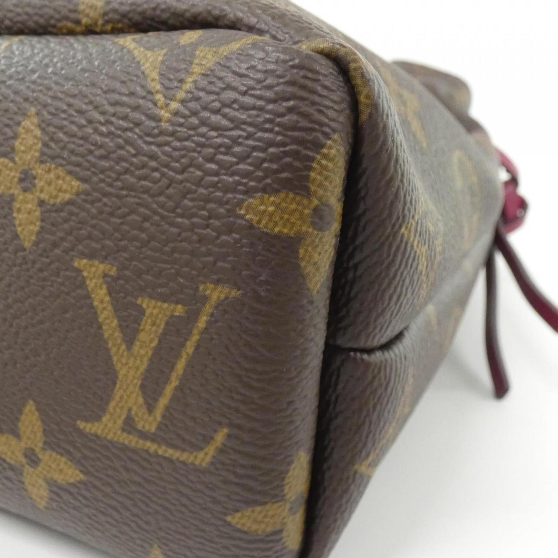 Louis Vuitton Monogram Posh Noe Pouch