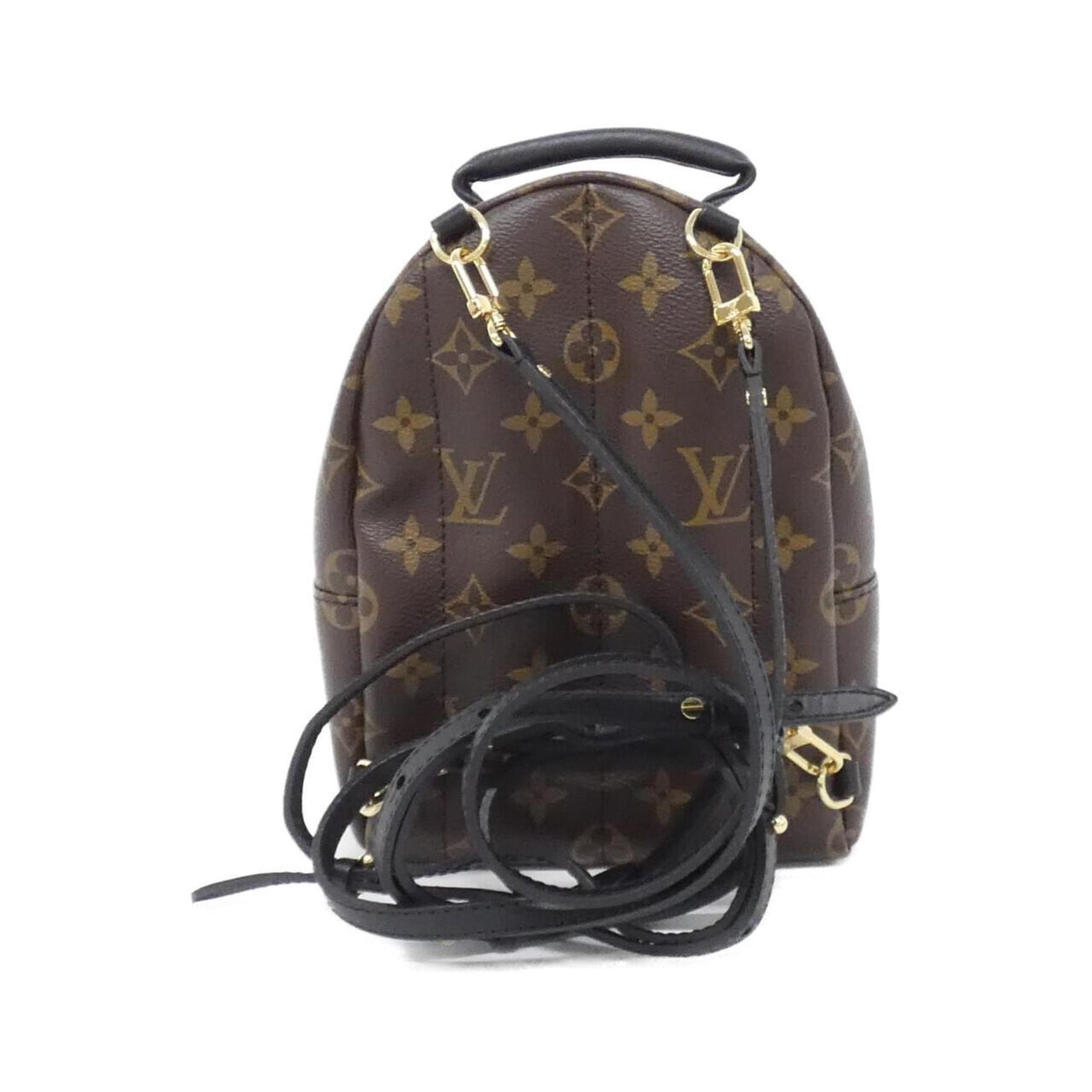 Louis Vuitton Monogram Palm Springs Backpack Mini