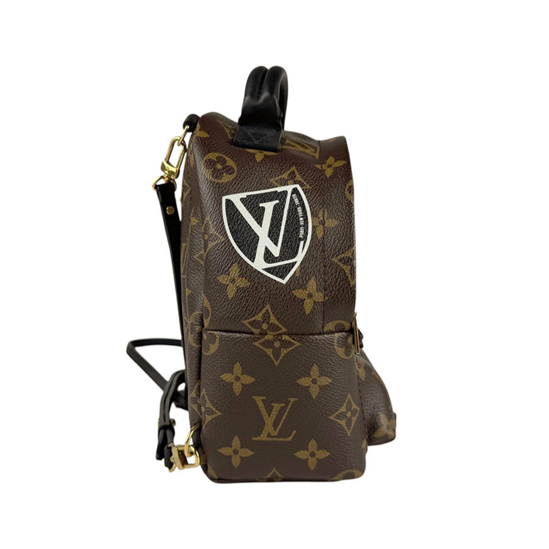 Louis Vuitton Backpack Monogram Palm Springs Canvas Brown Multicolor Gold