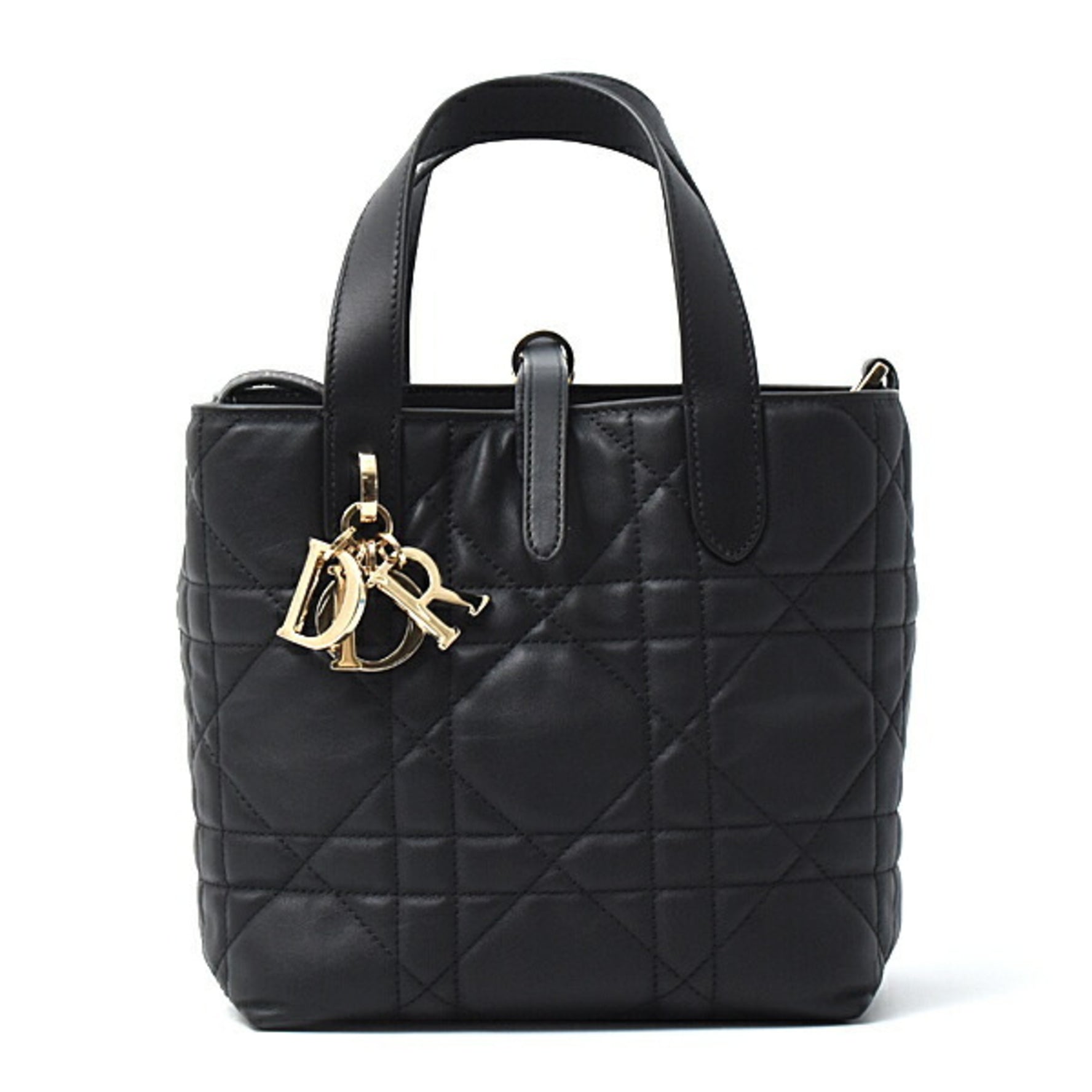 Christian Dior Toujours Vertical Small Tote Bag in Calfskin